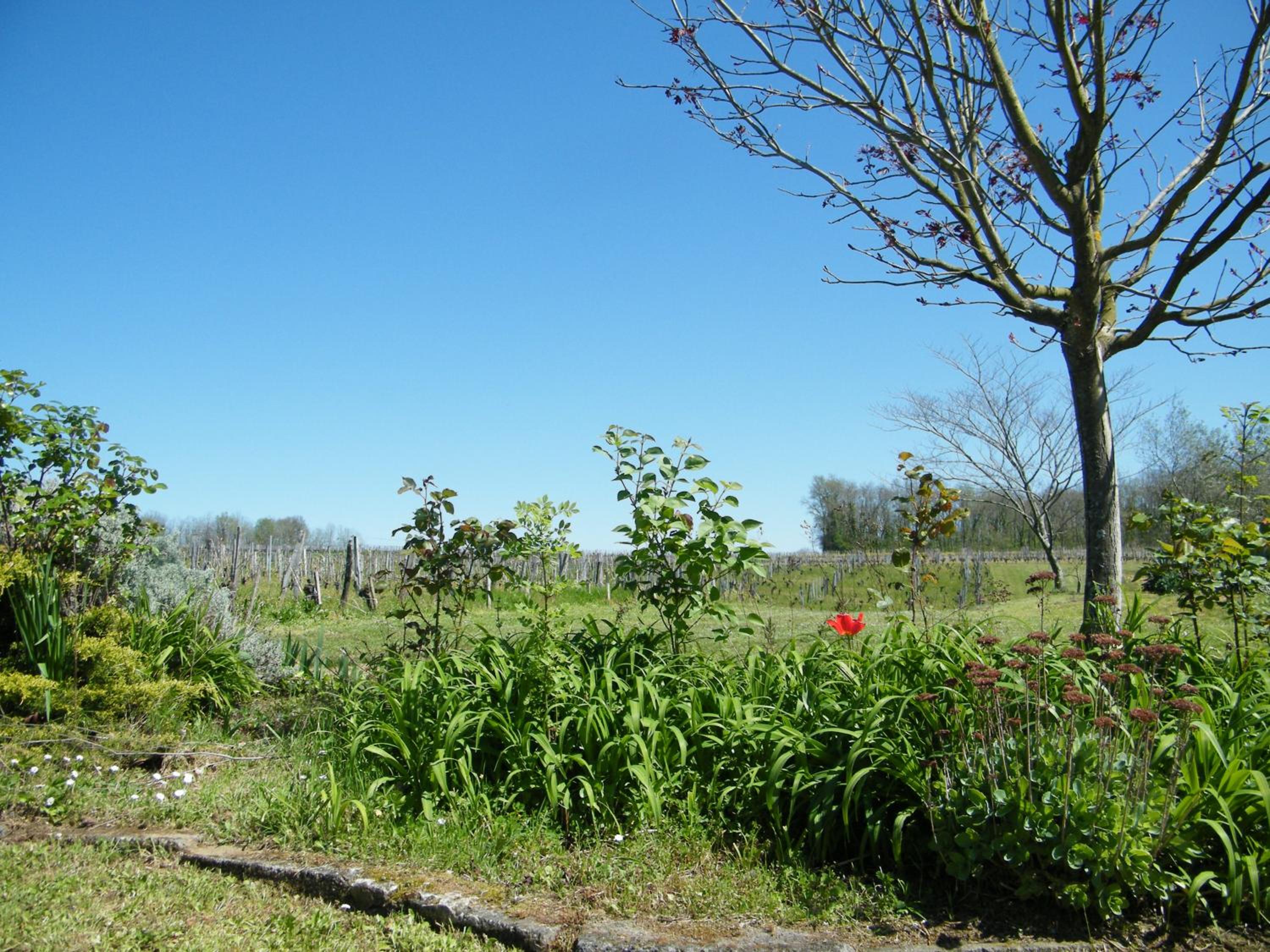 Photo 20