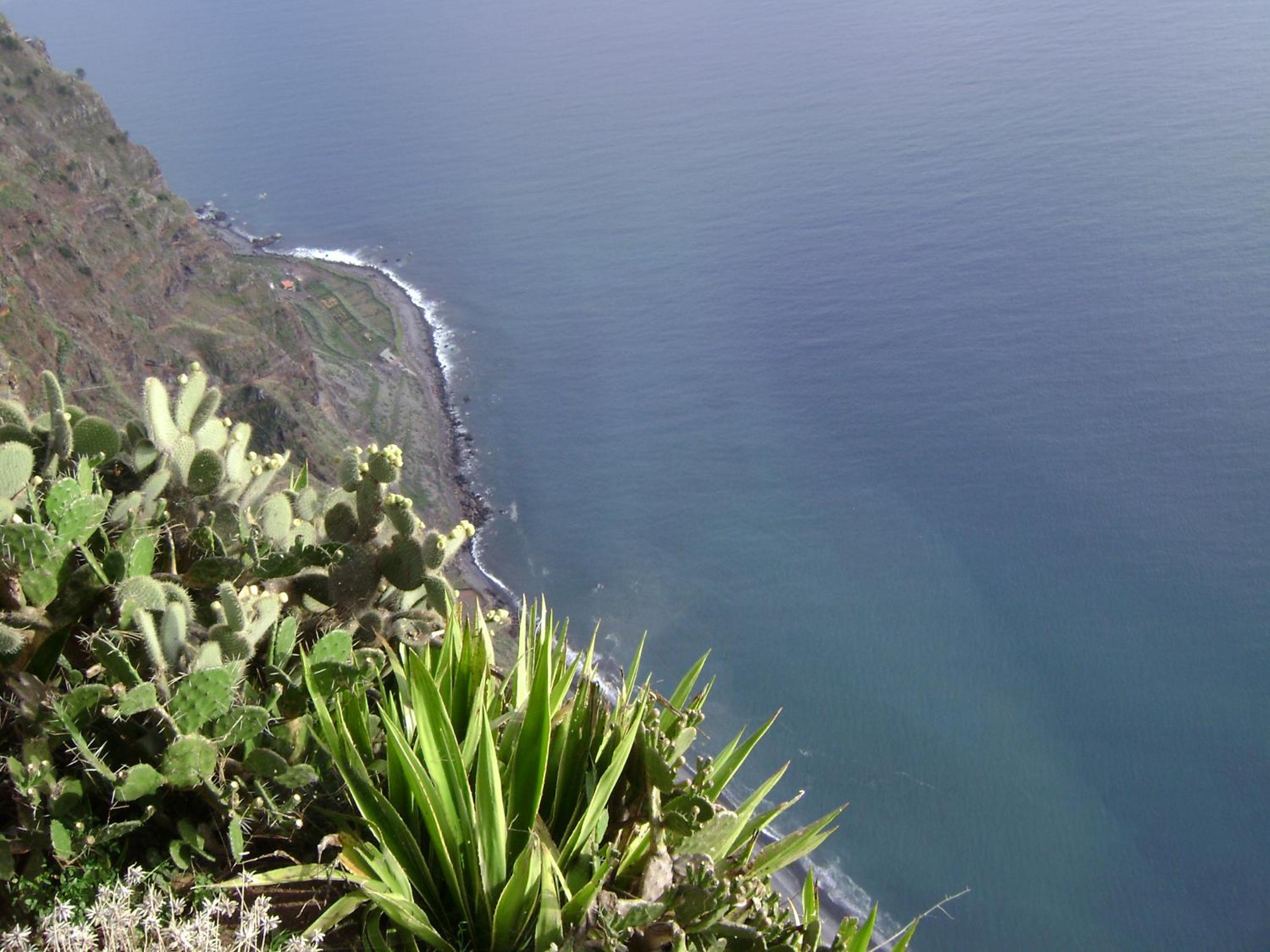 Photo 45