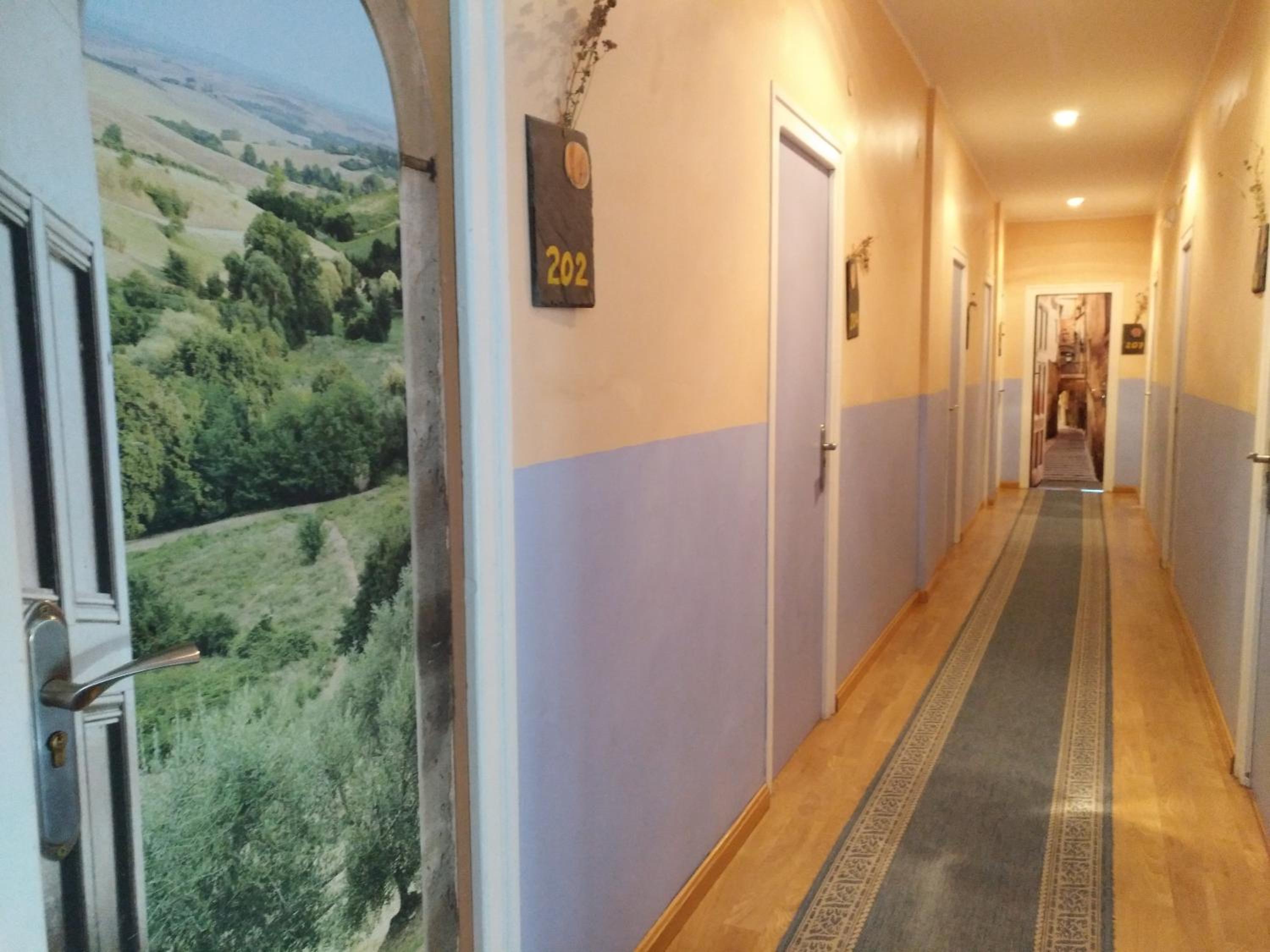 Photo 31
