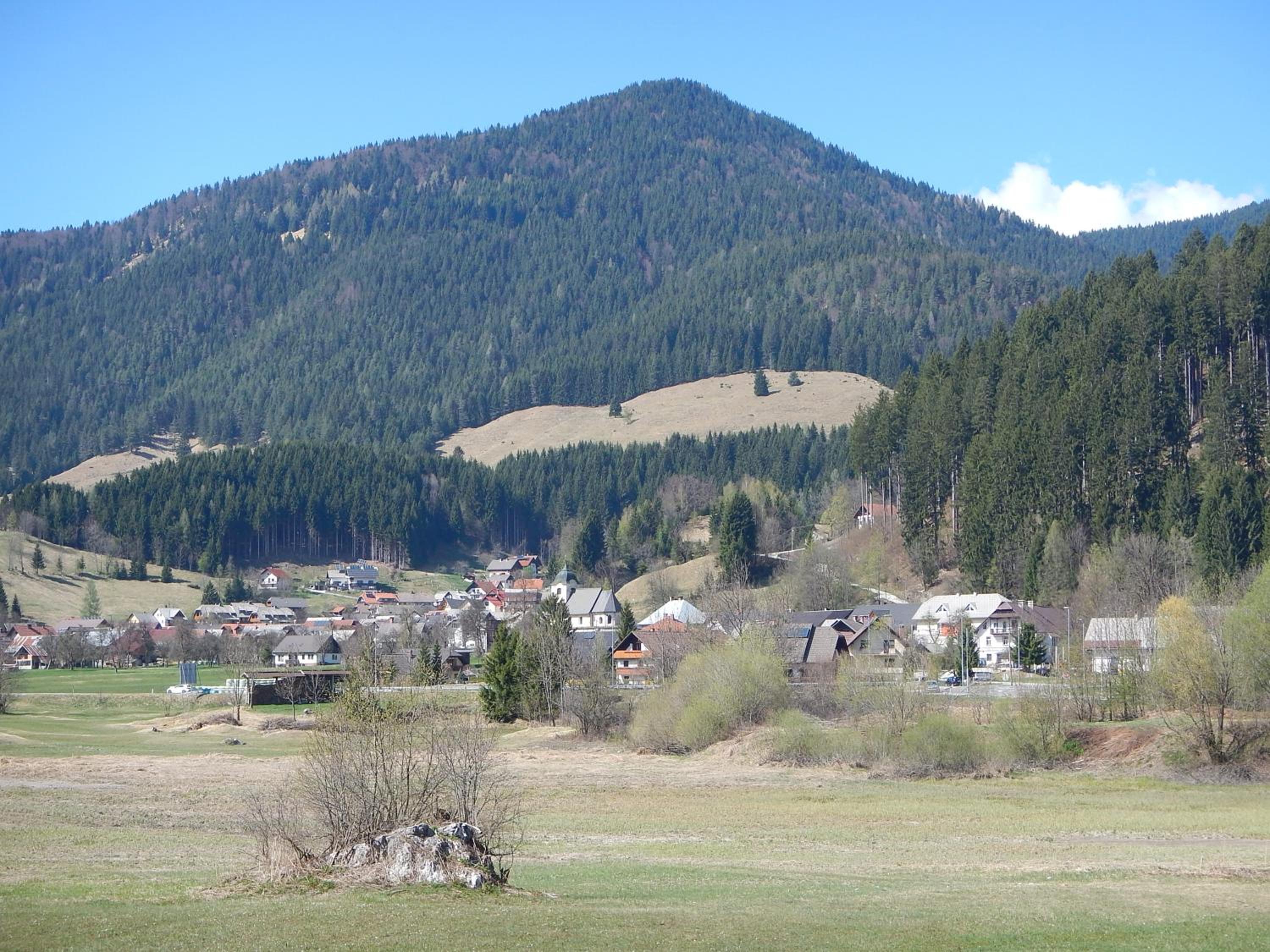 Photo 46