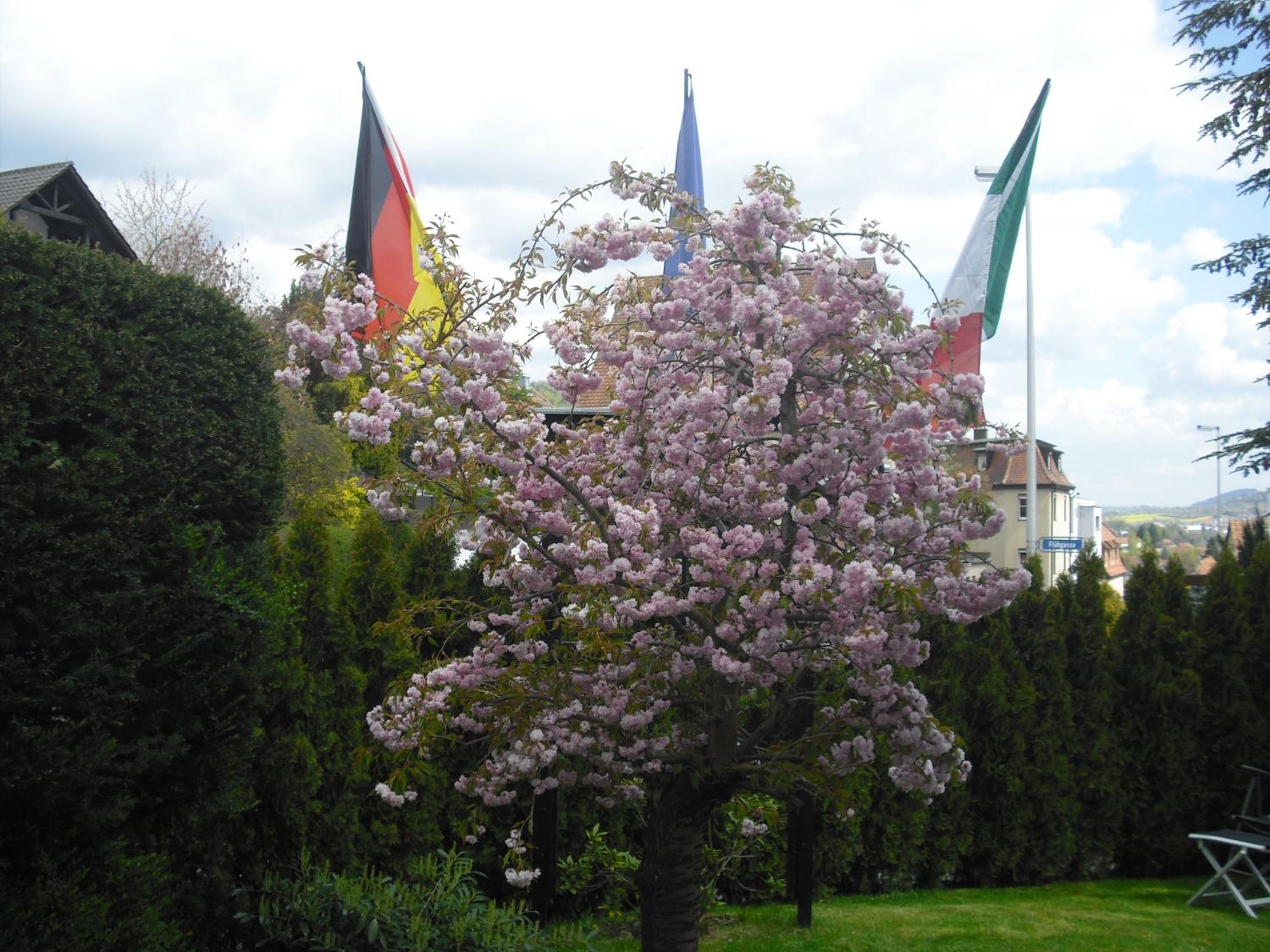 Gästehaus Cramer
