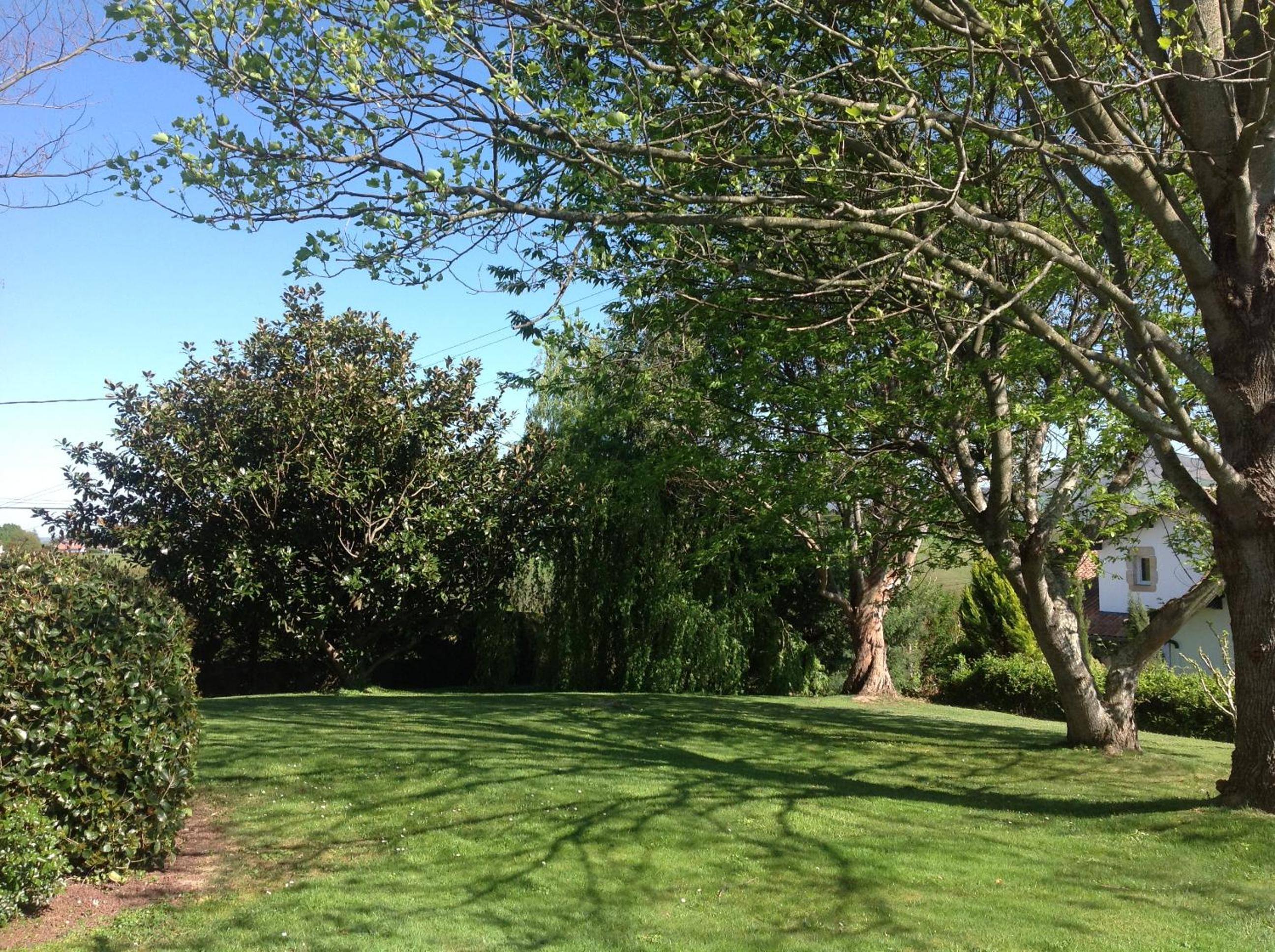 Photo 26