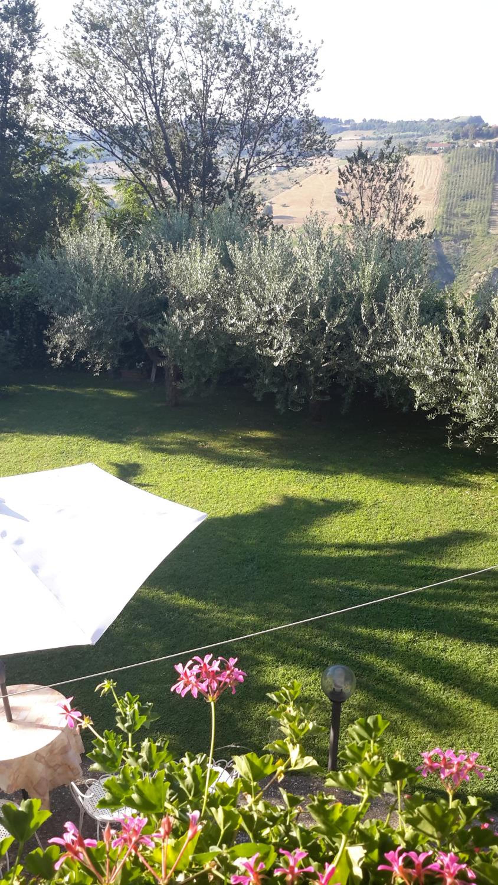 B&B L'Albero Di Antonia view 5