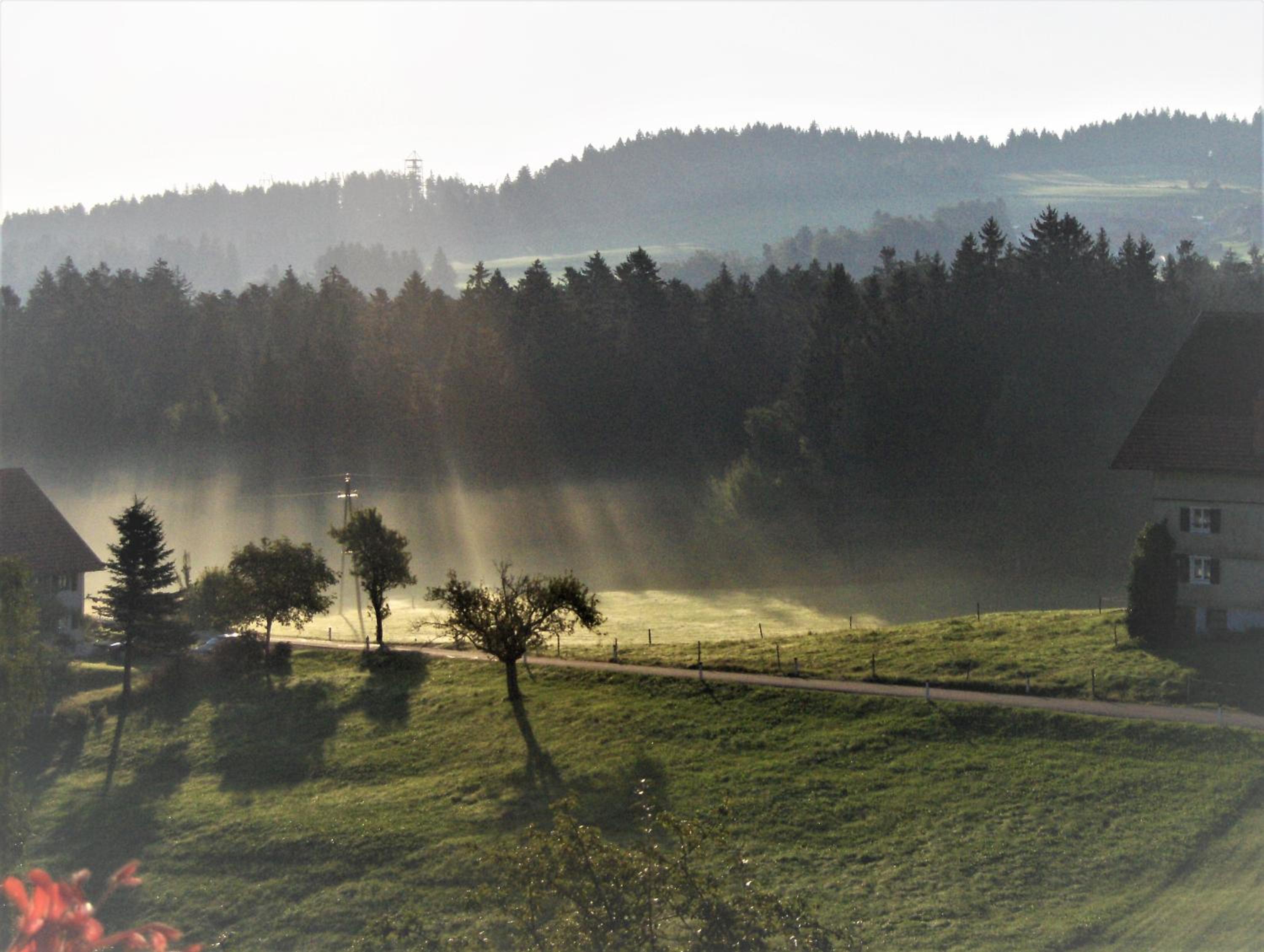 Bio-Bauernhof Heidegger