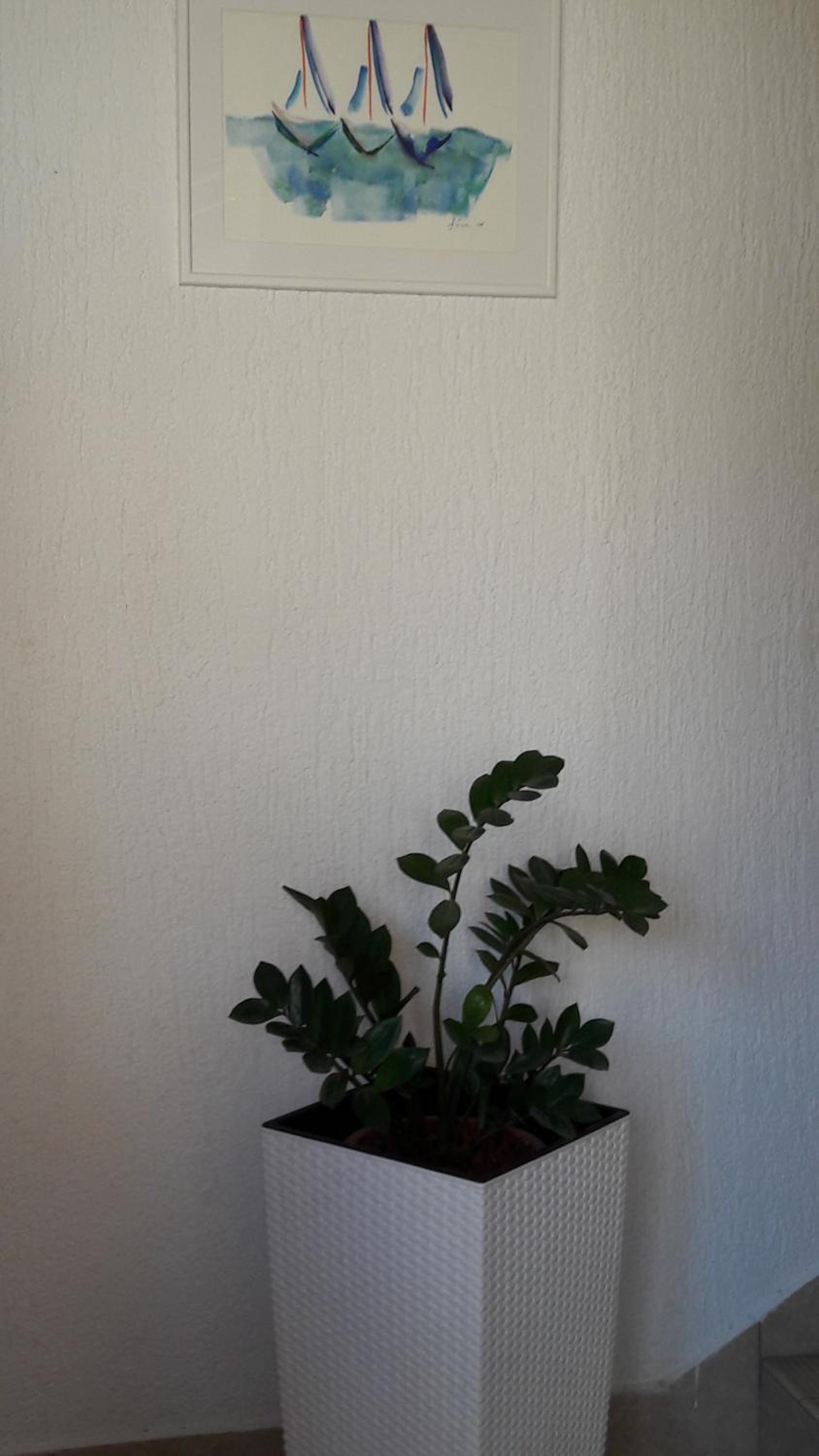 Photo 57