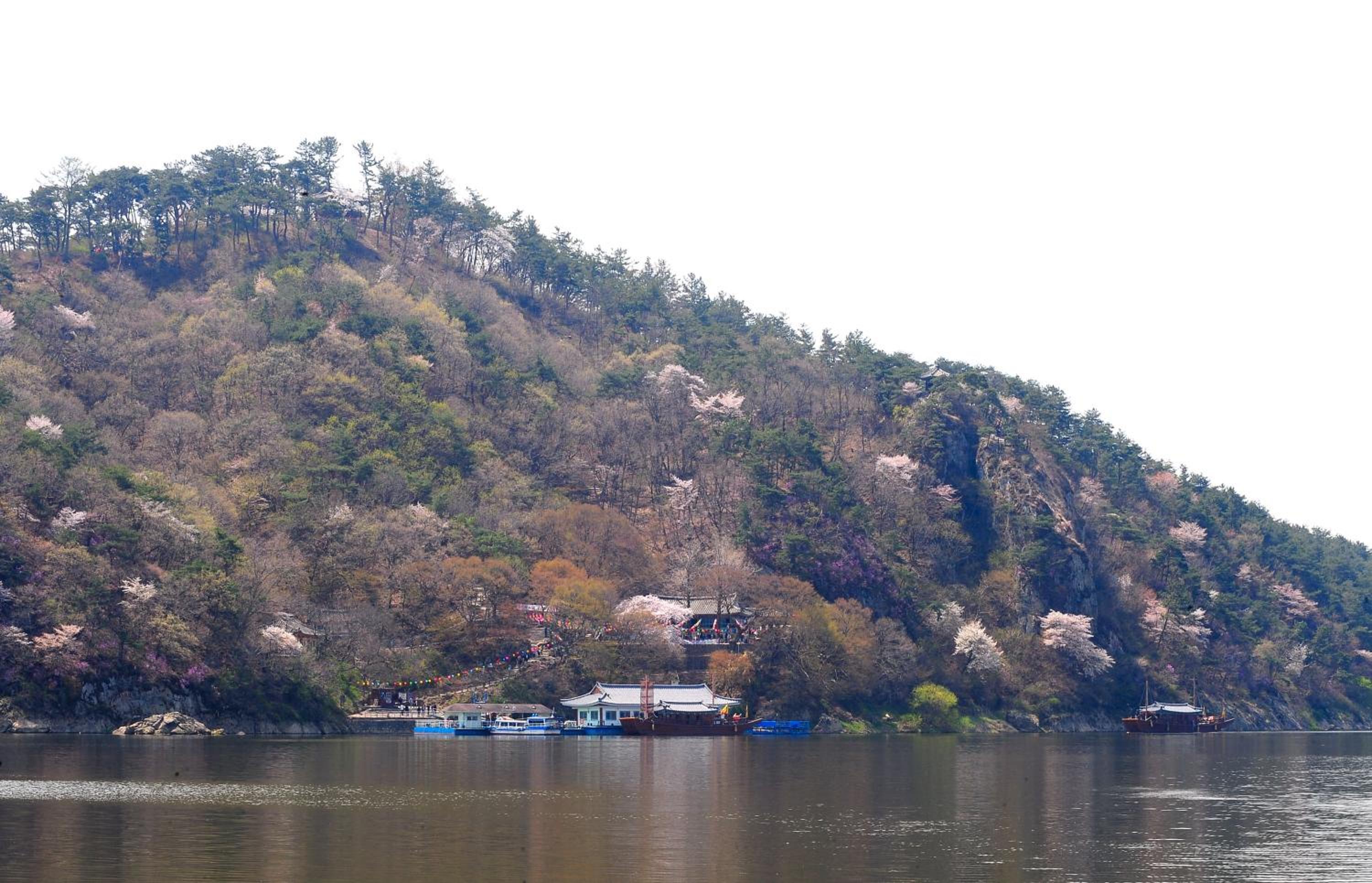Lotte Buyeo Resort