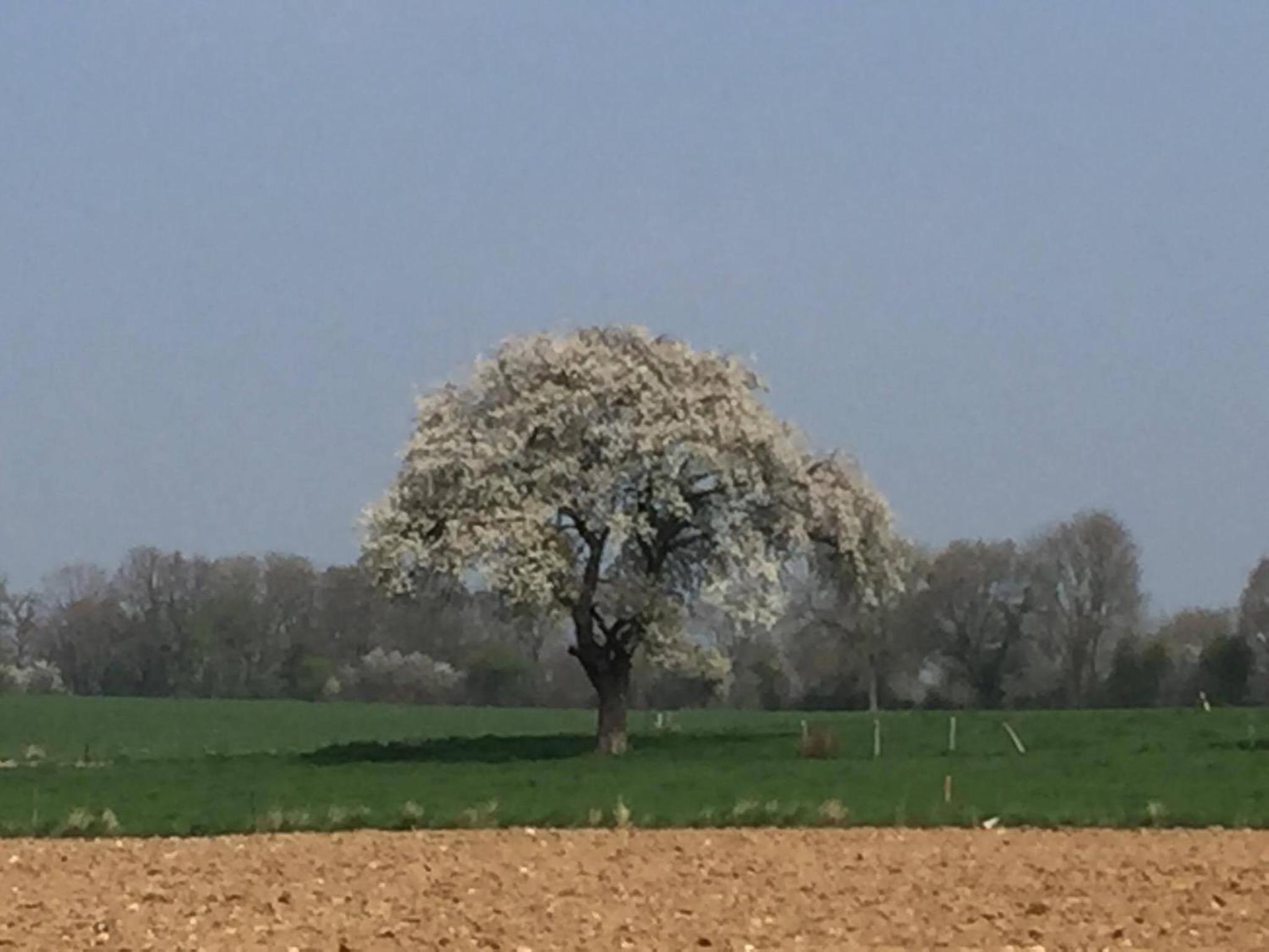 B&B Au Coeur de Villers