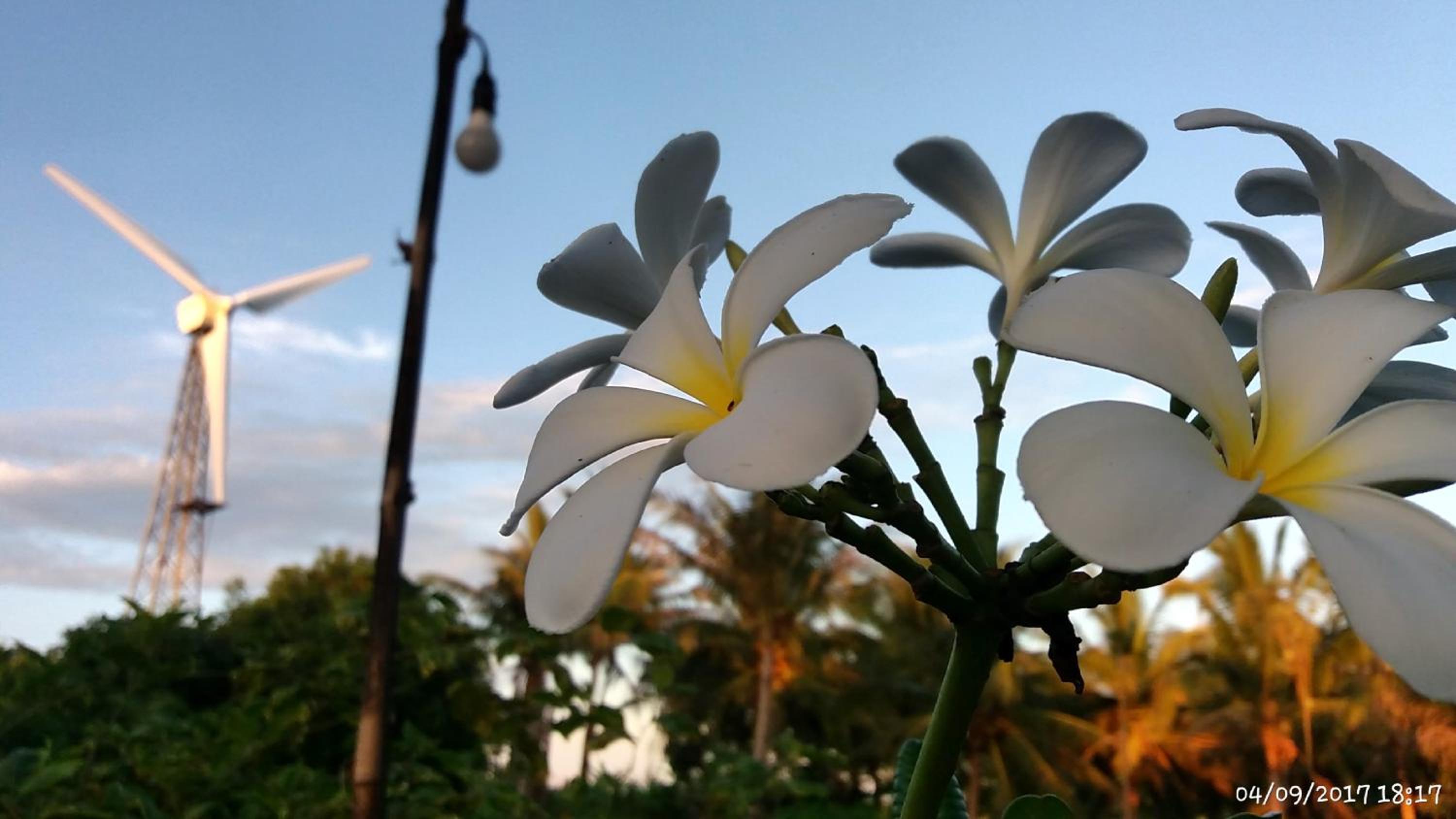Rai Lung Tui Homestay