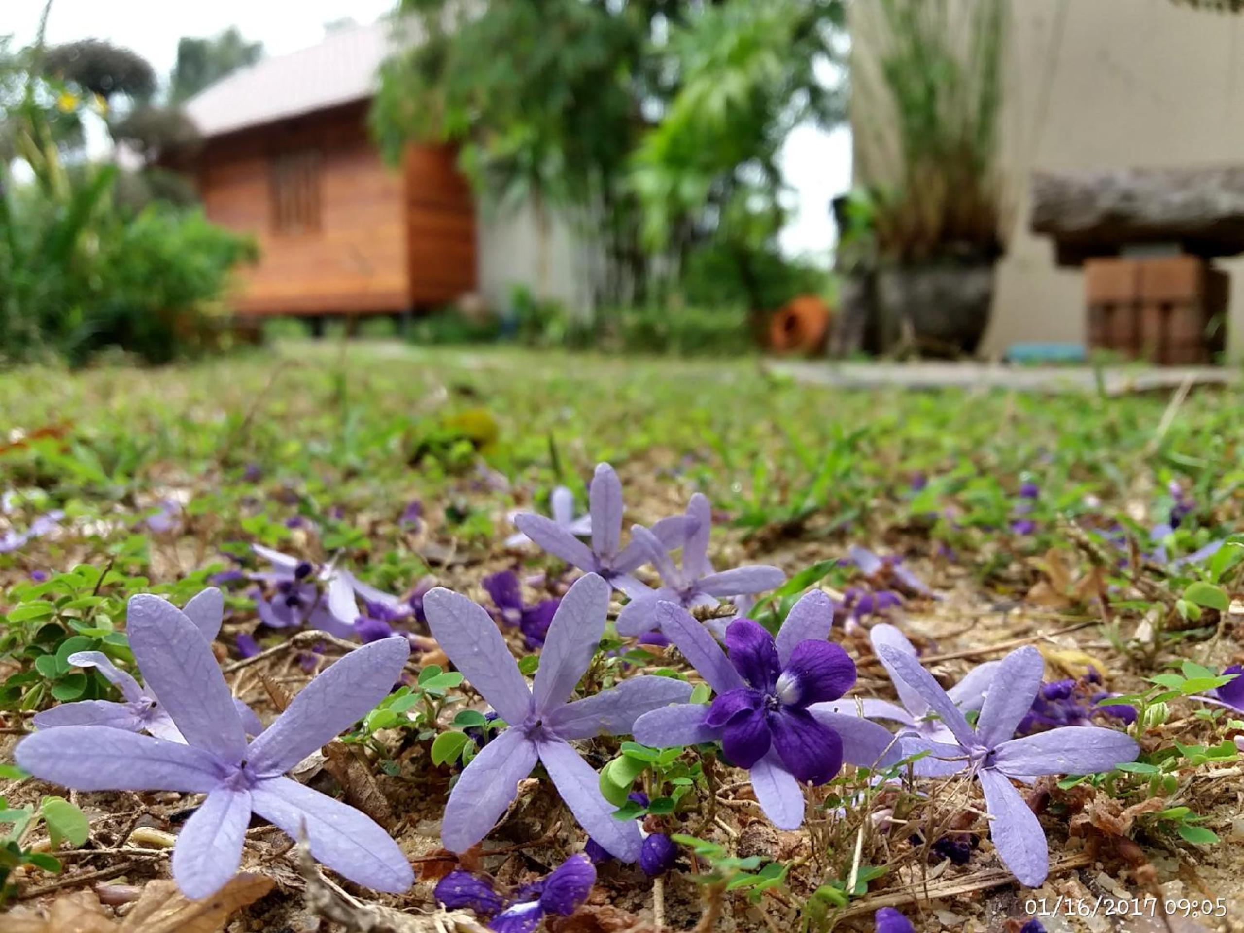 Rai Lung Tui Homestay