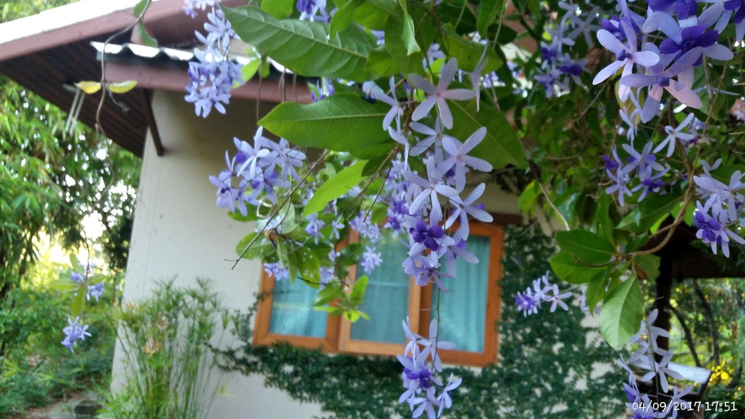 Rai Lung Tui Homestay