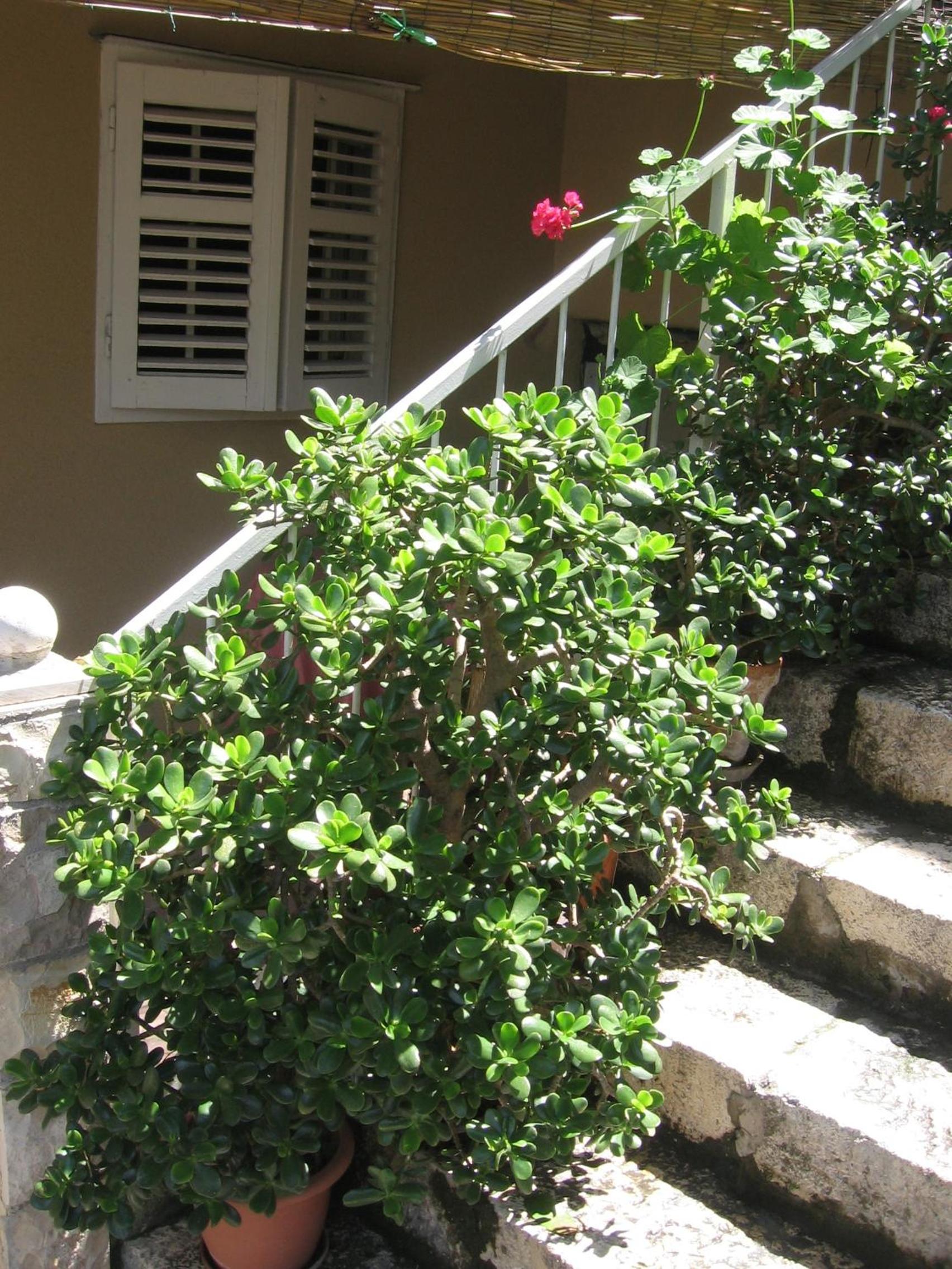 Photo 39