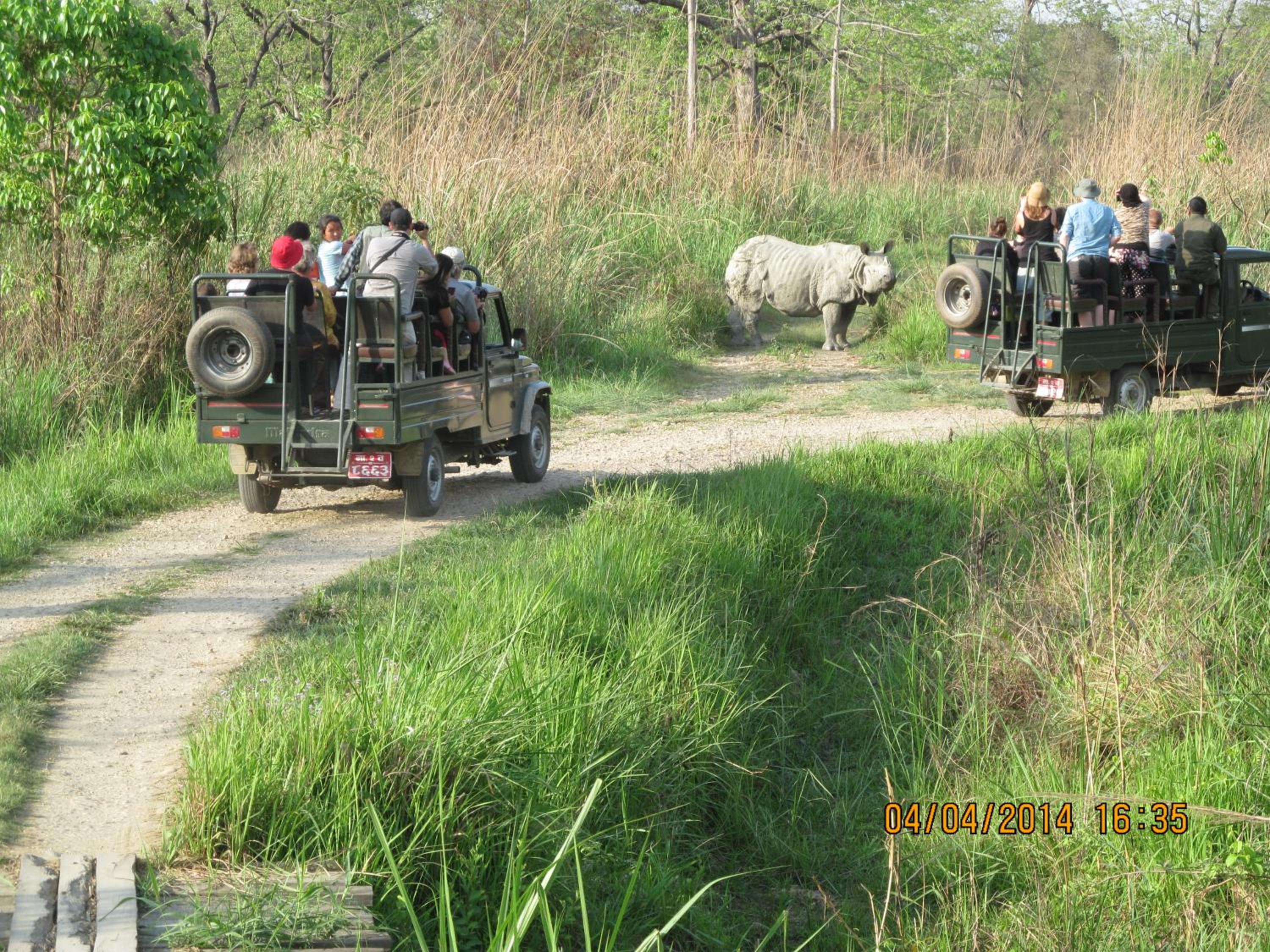 Chitwan Tiger Camp