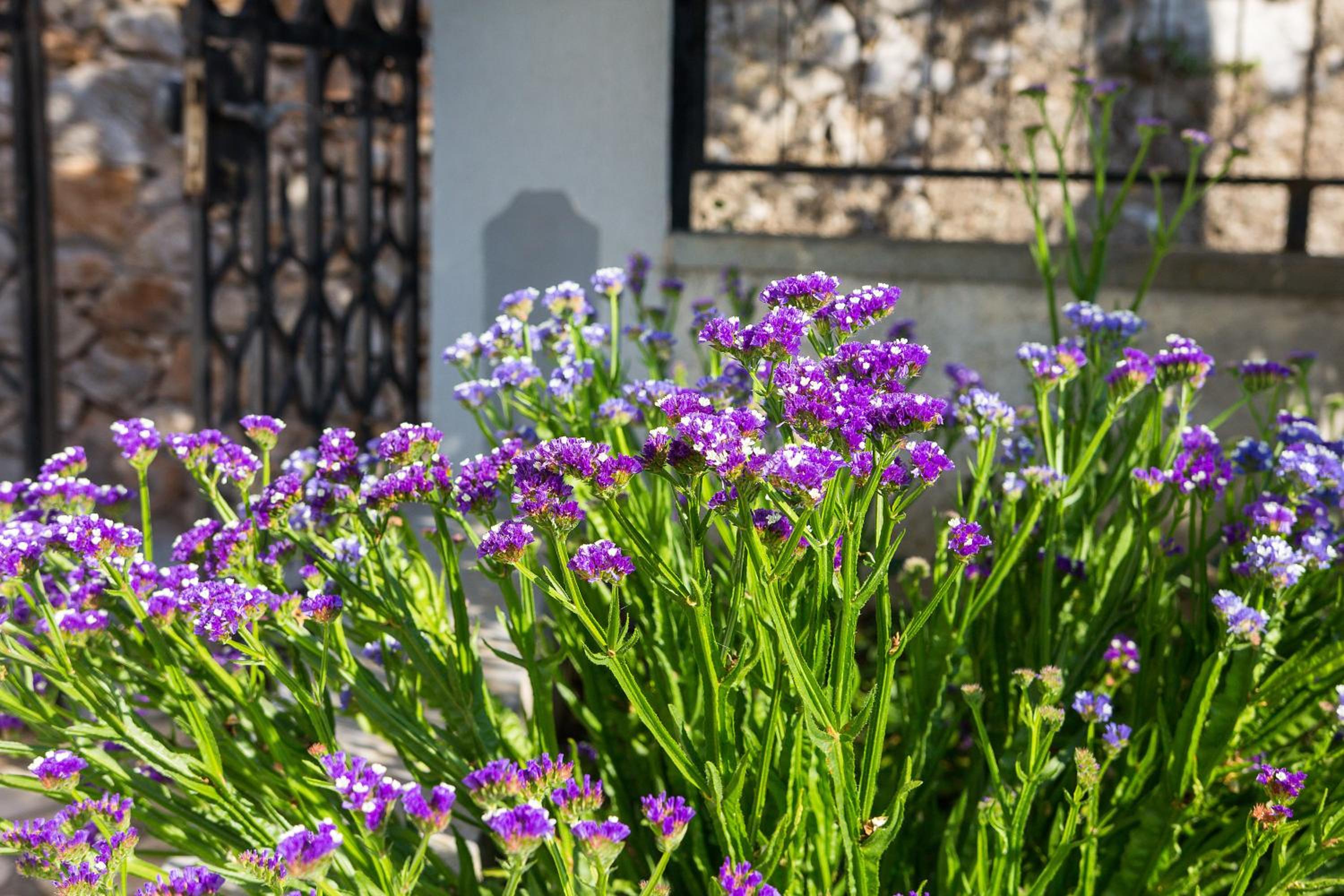 Apartman Haraciceva