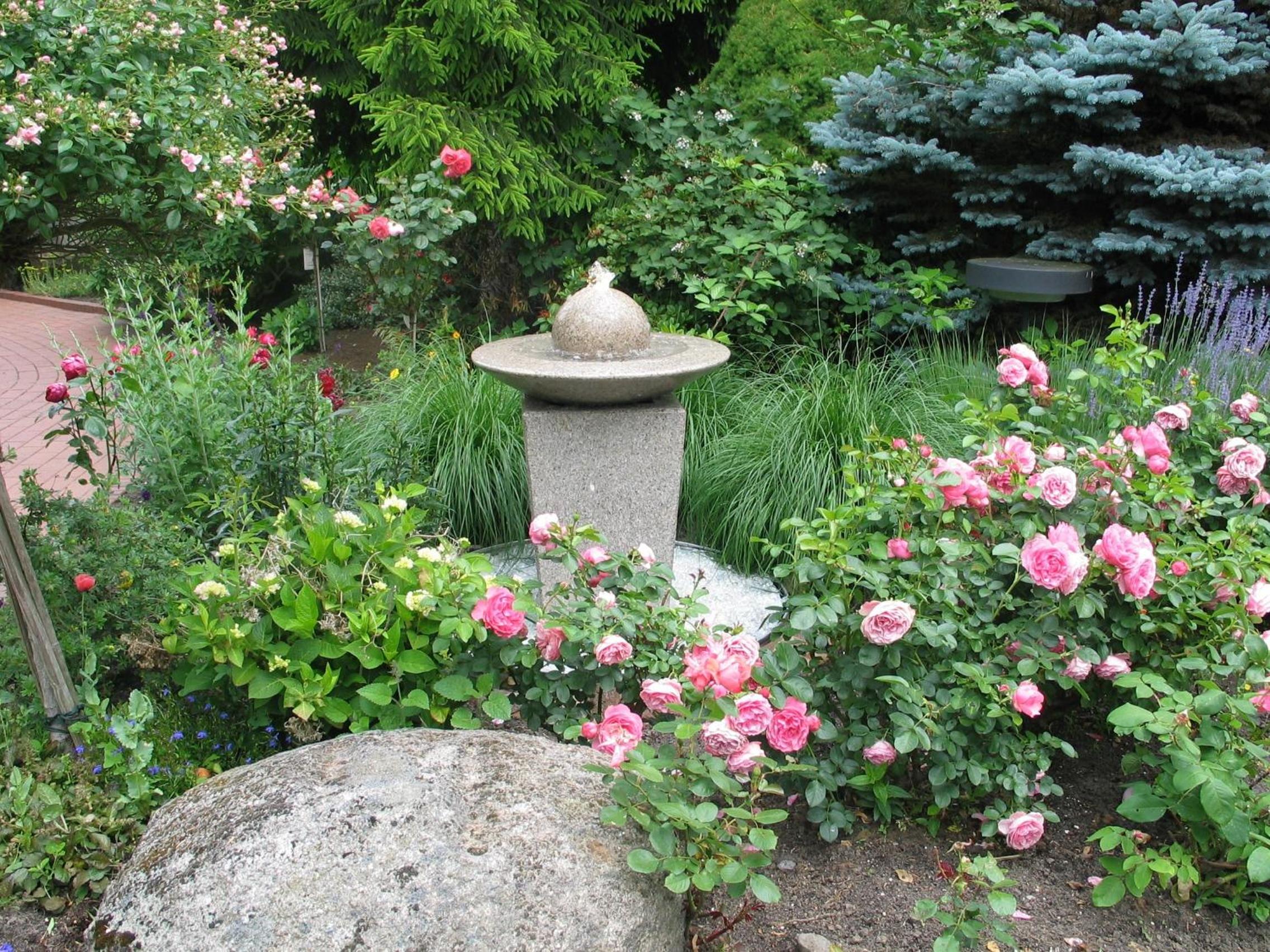 garden