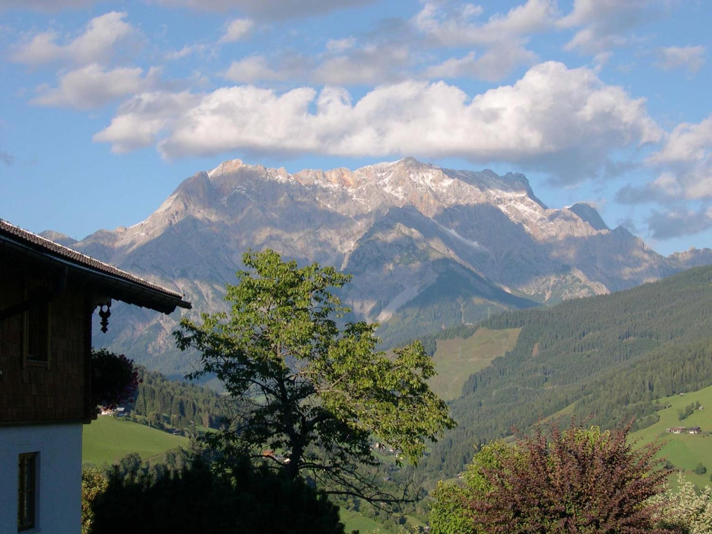 Feriennest Leitner