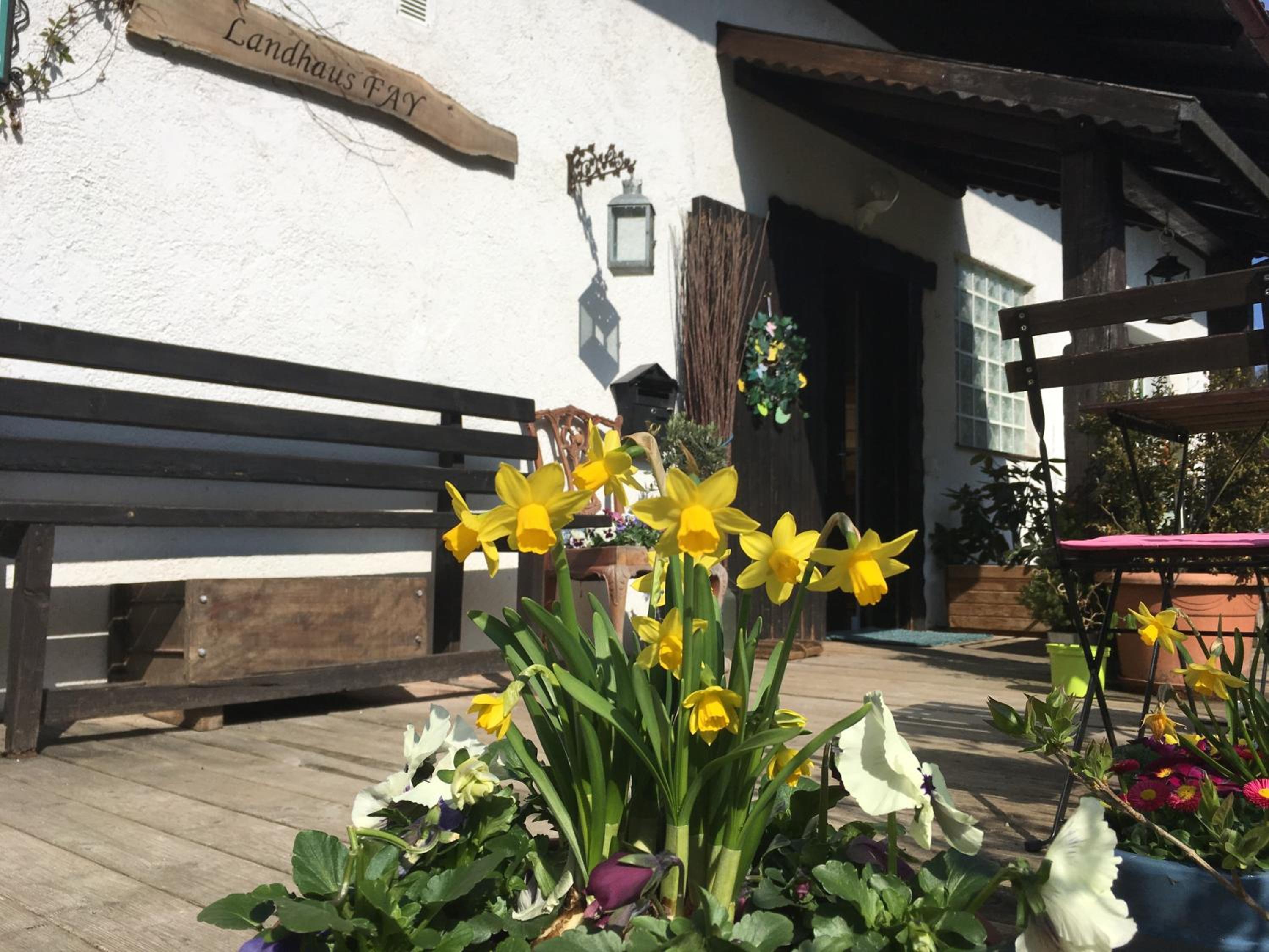 Landhaus Fay B&B