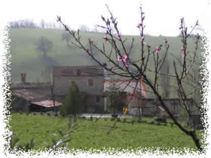B&B Caselunghe
