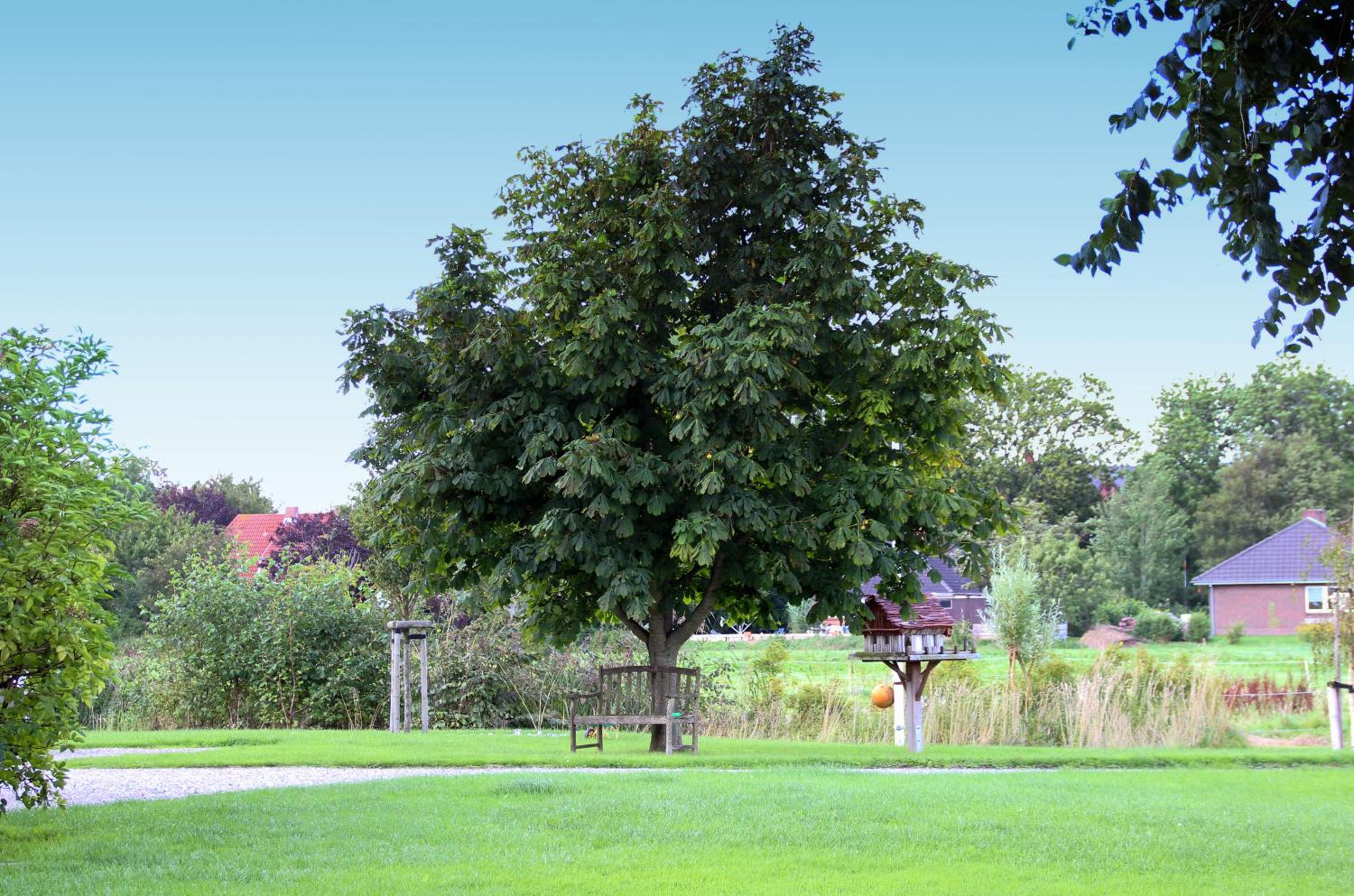 Haus Rungholt