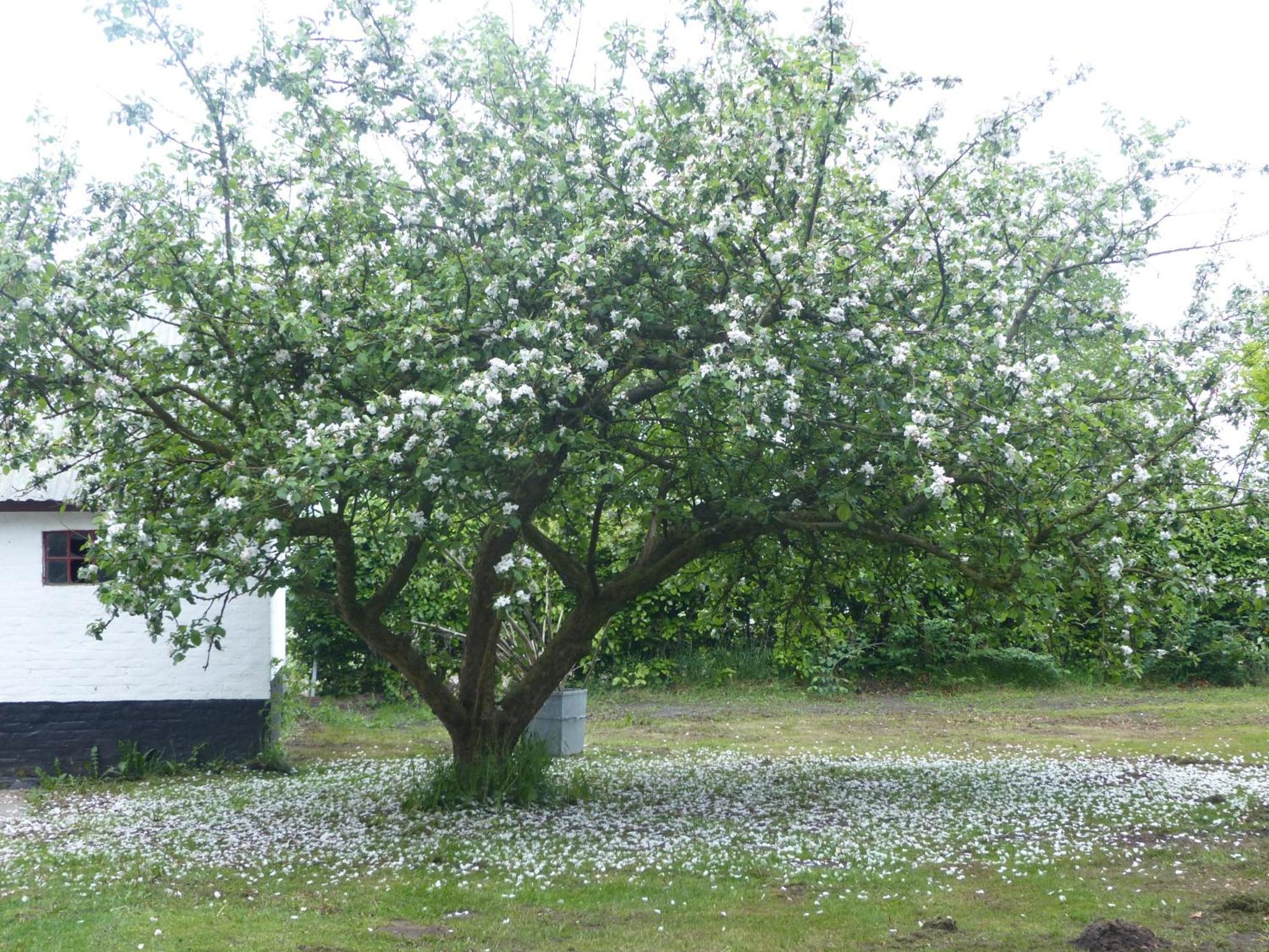 Kristiansminde Farm Holiday