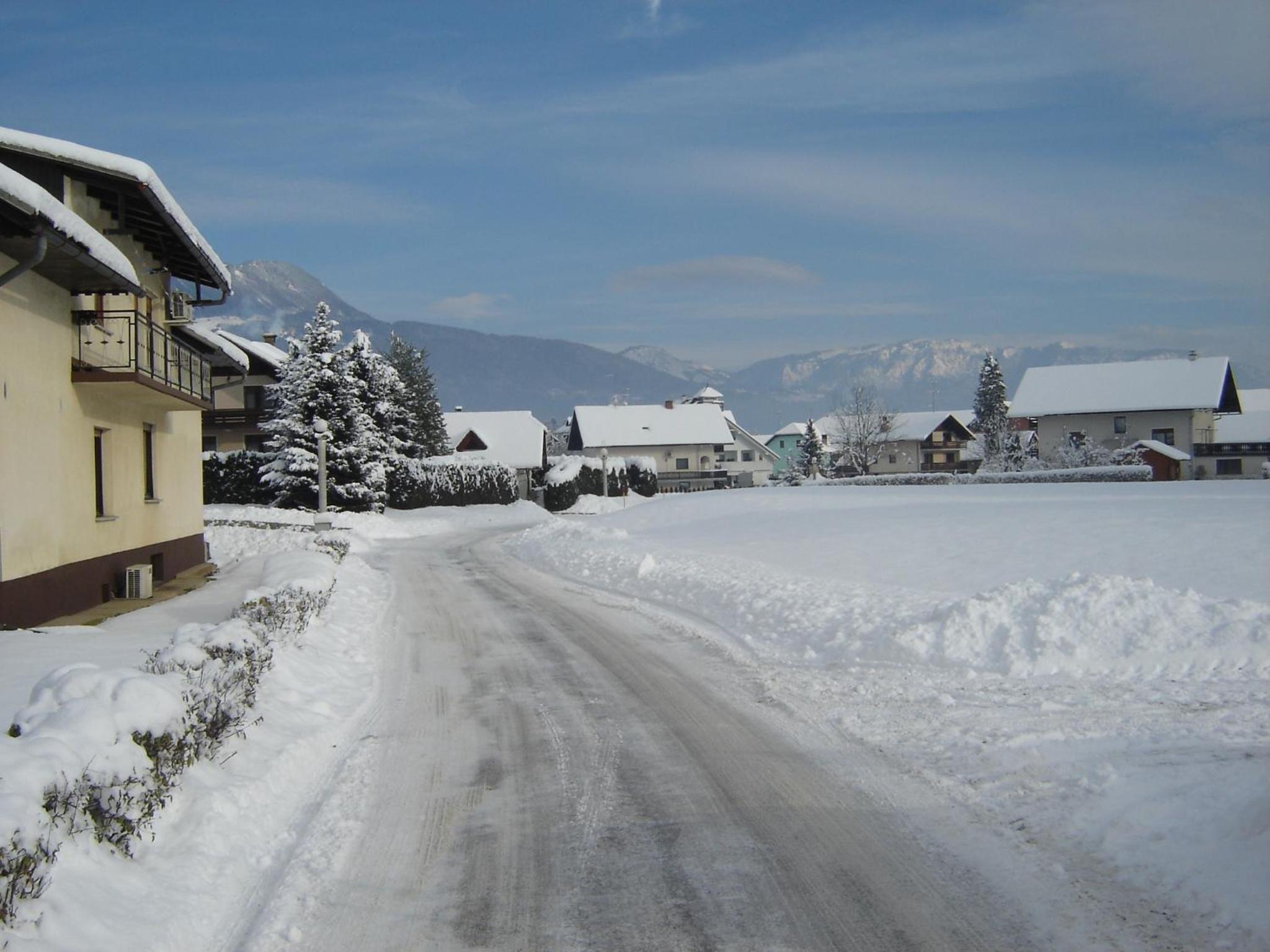 Photo 51