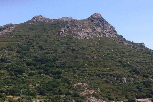 Photo 31