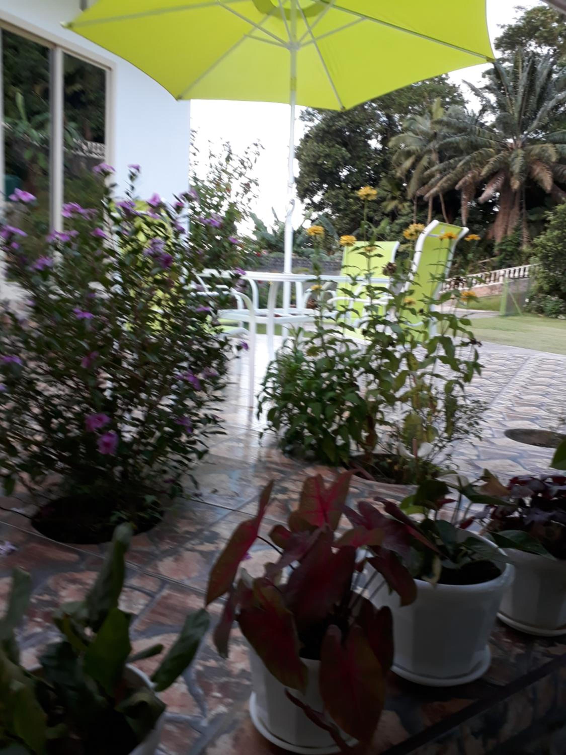 Loversnest Self Catering