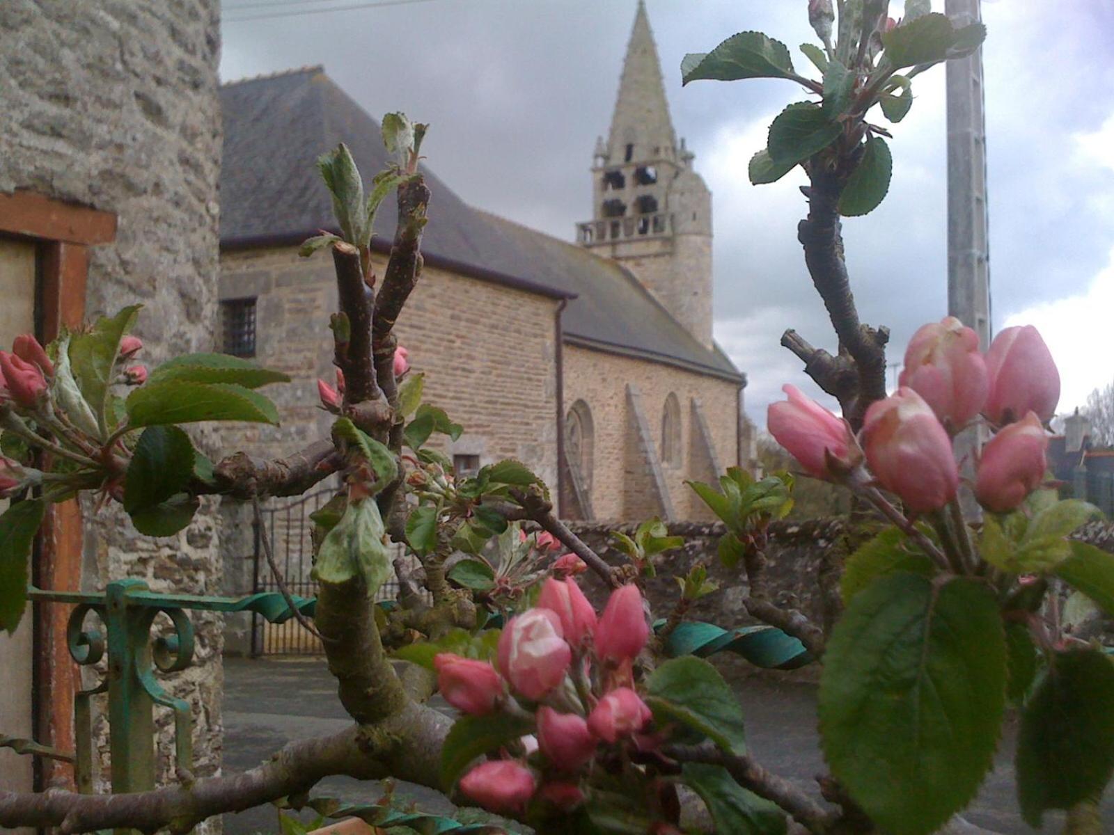 Photo 22