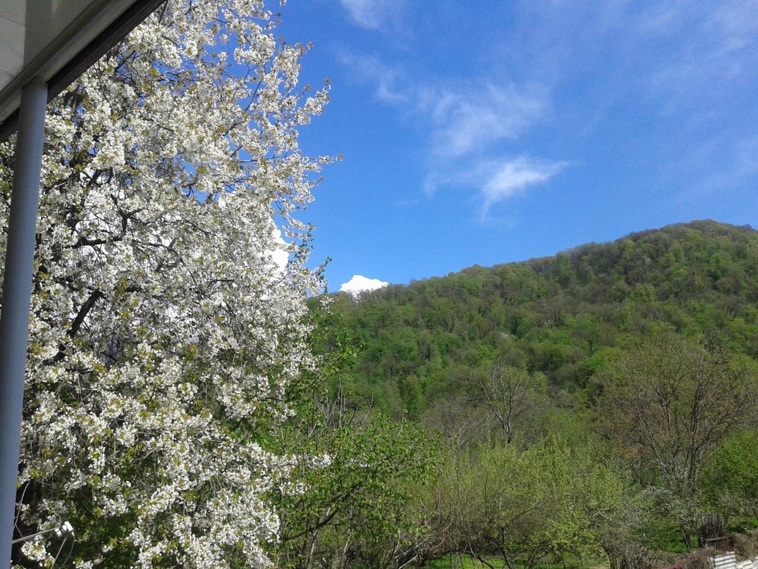 Guesthouse Vashlovani