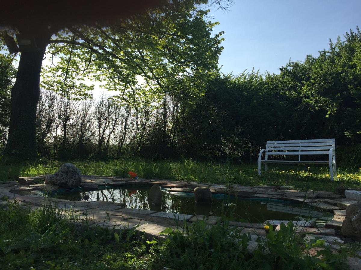Il Rudere view 4