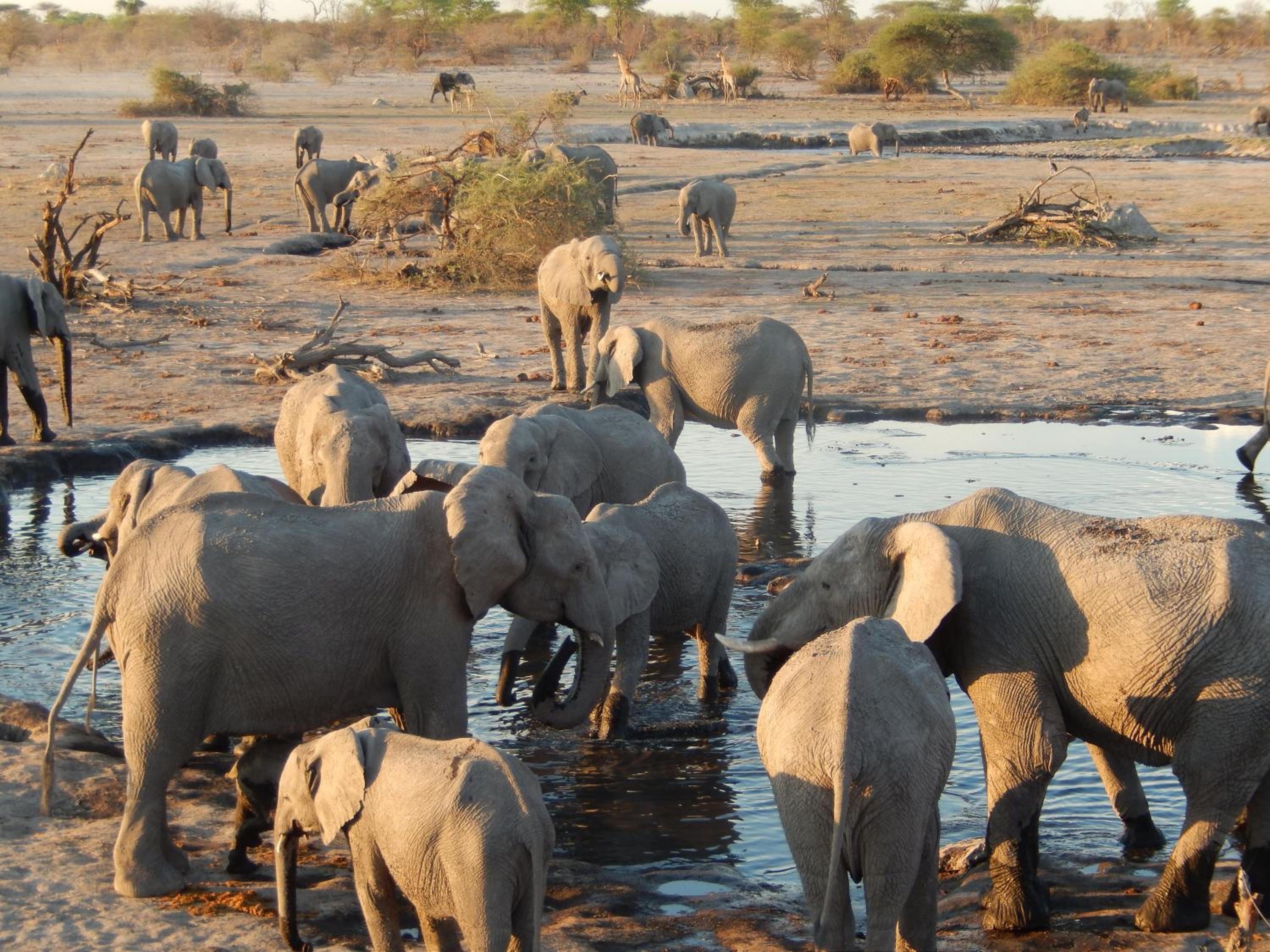Thobolo's Bush Lodge