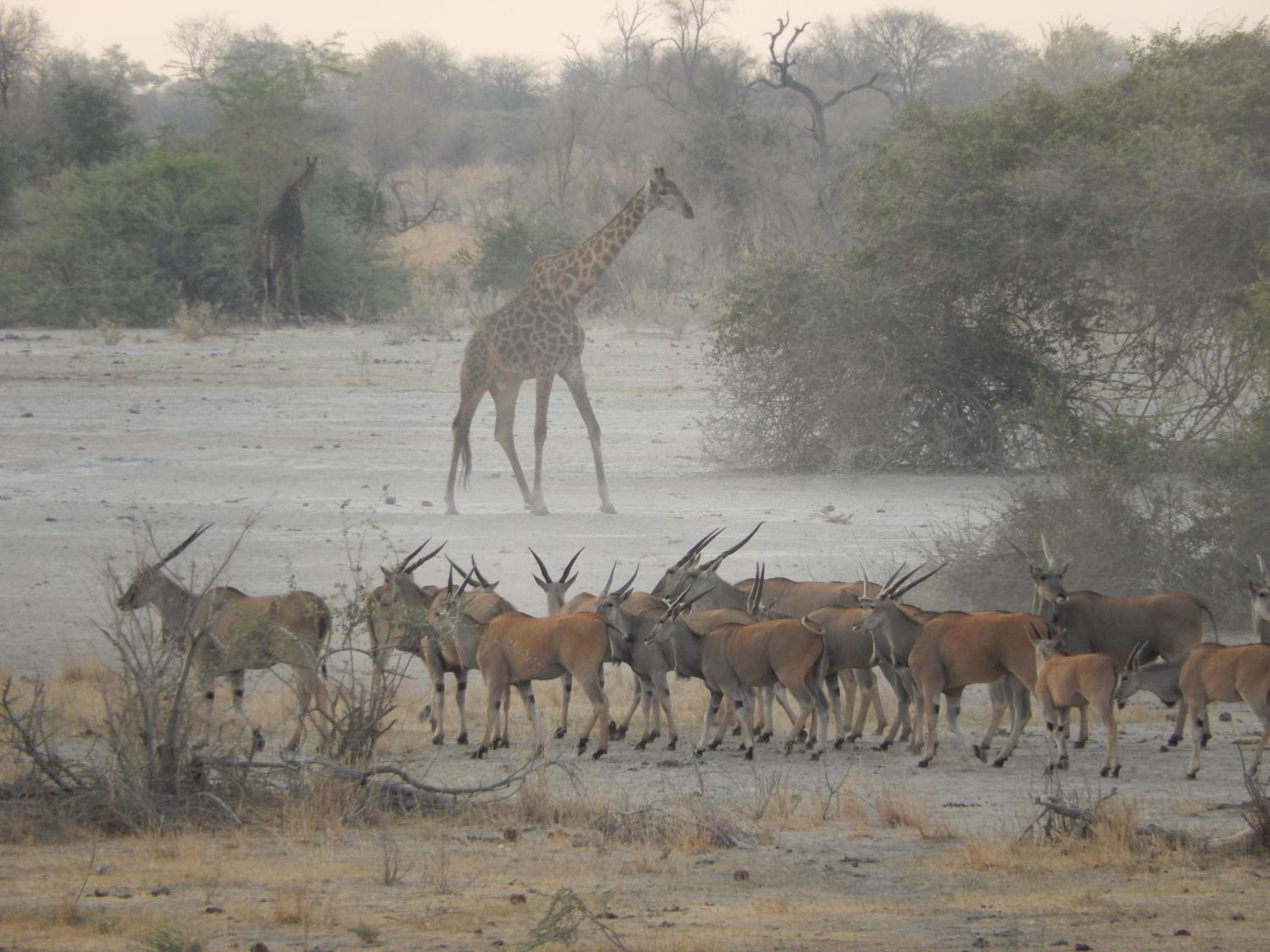 Thobolo's Bush Lodge