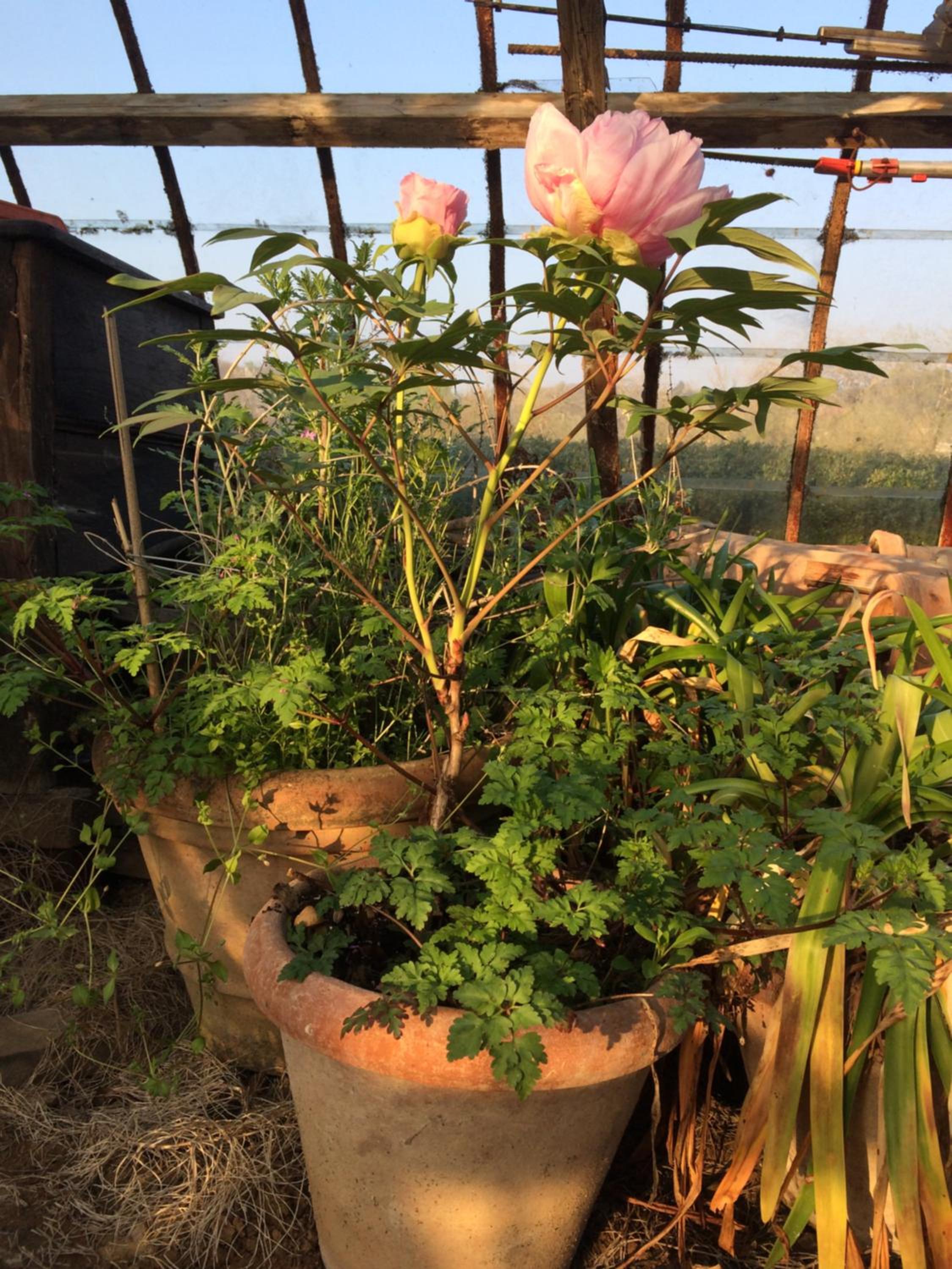Le Jardin Des Sources