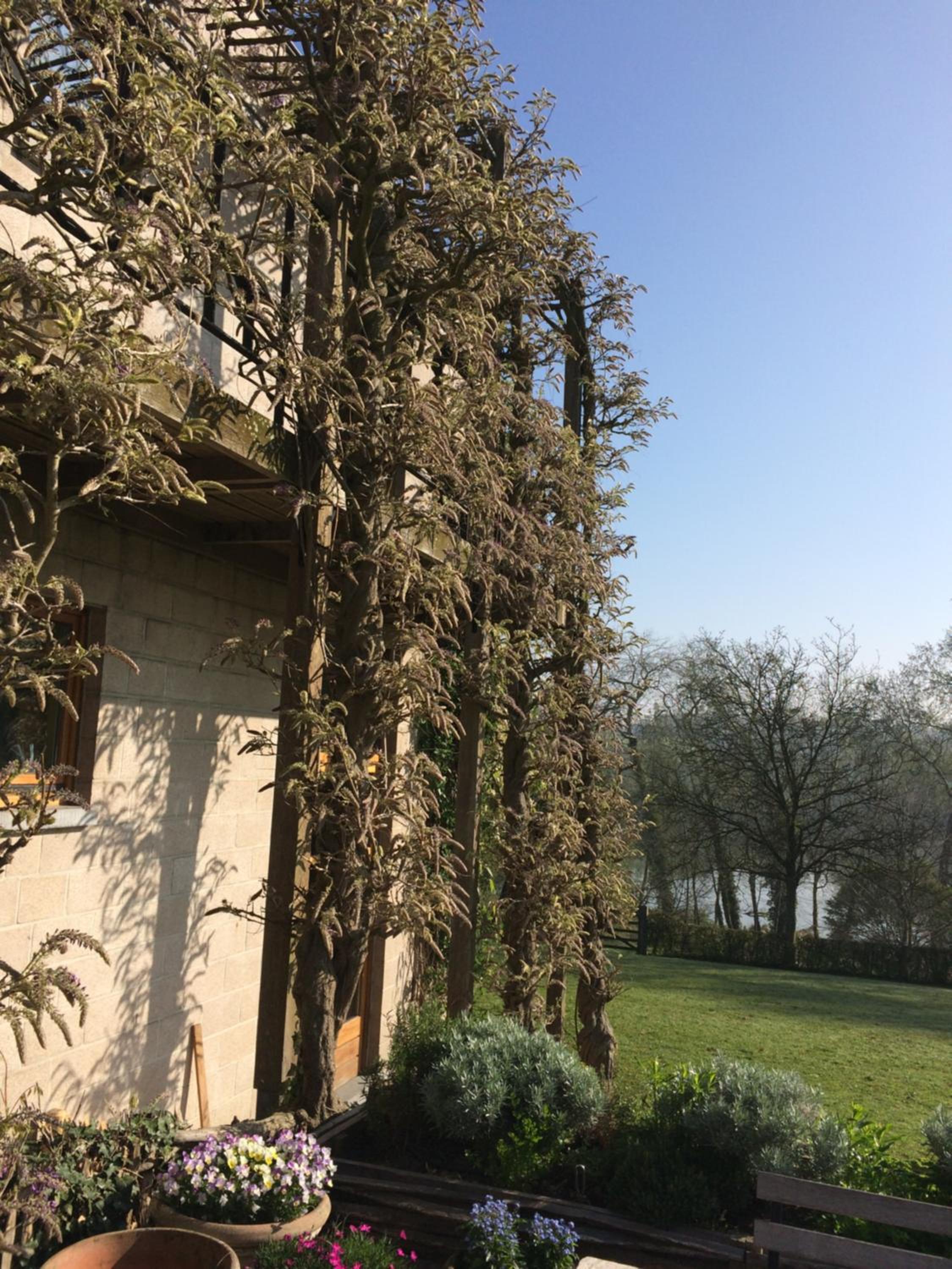 Le Jardin Des Sources