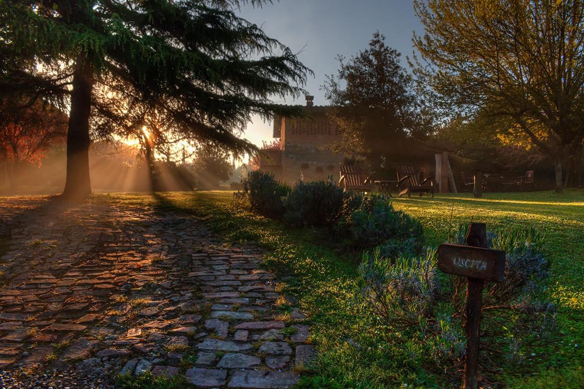 Agriturismo Poggio Salvi