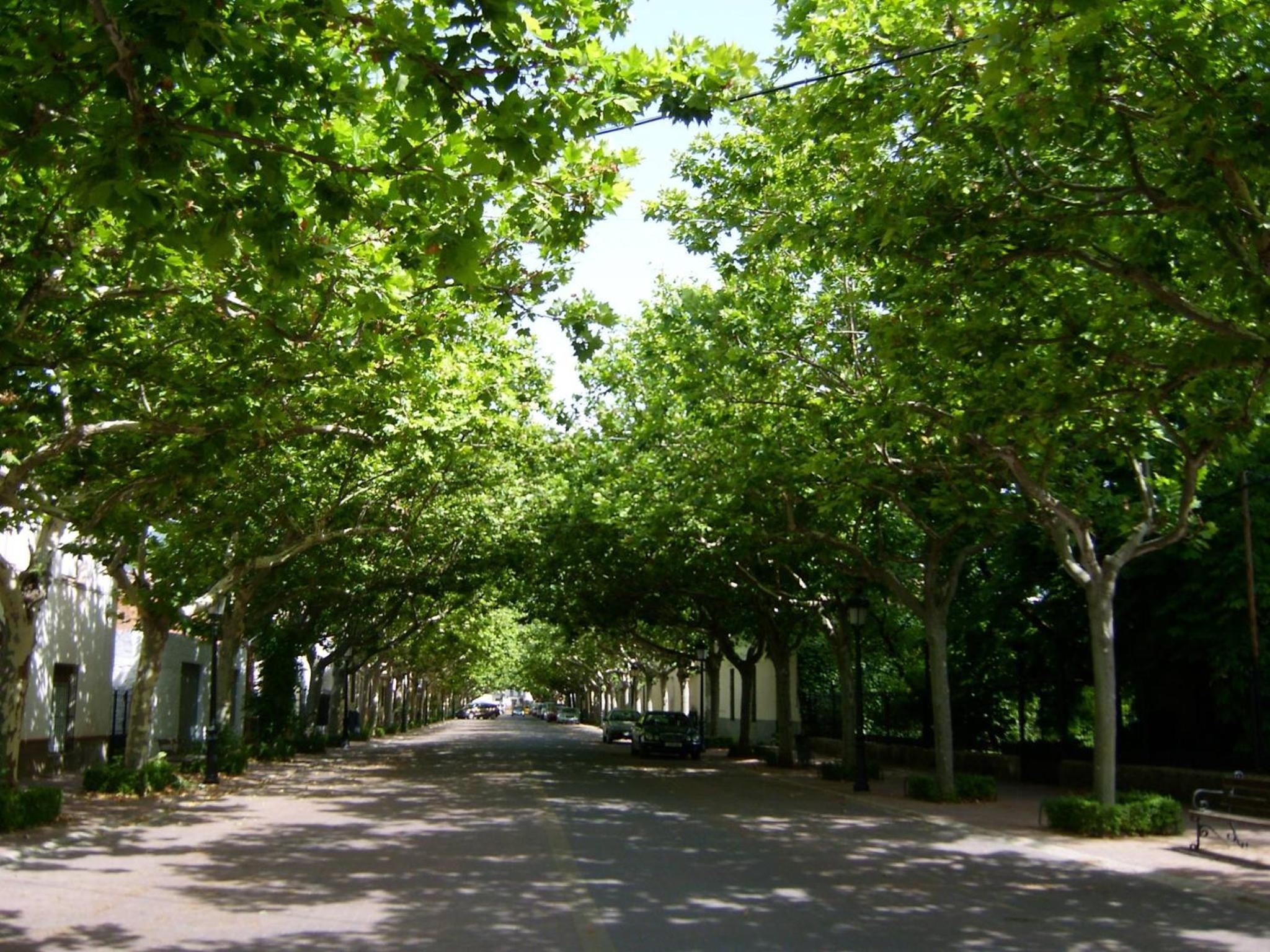 Photo 43
