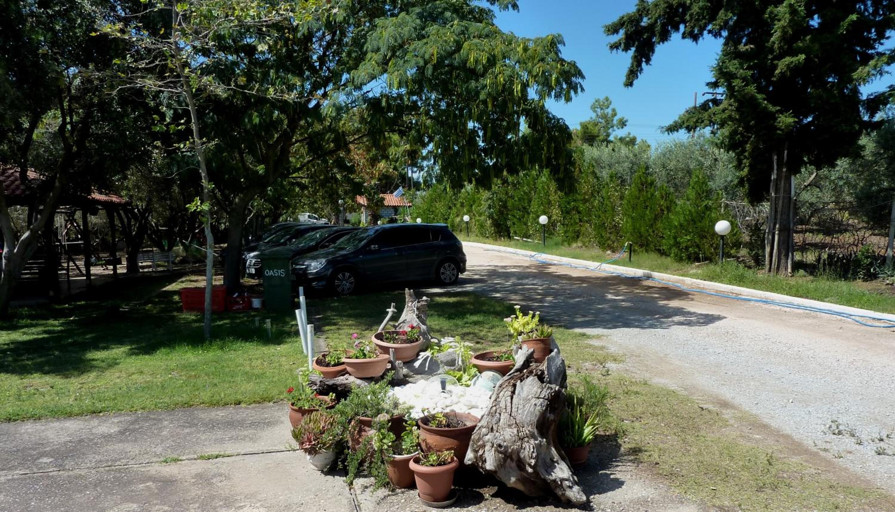 Photo 36