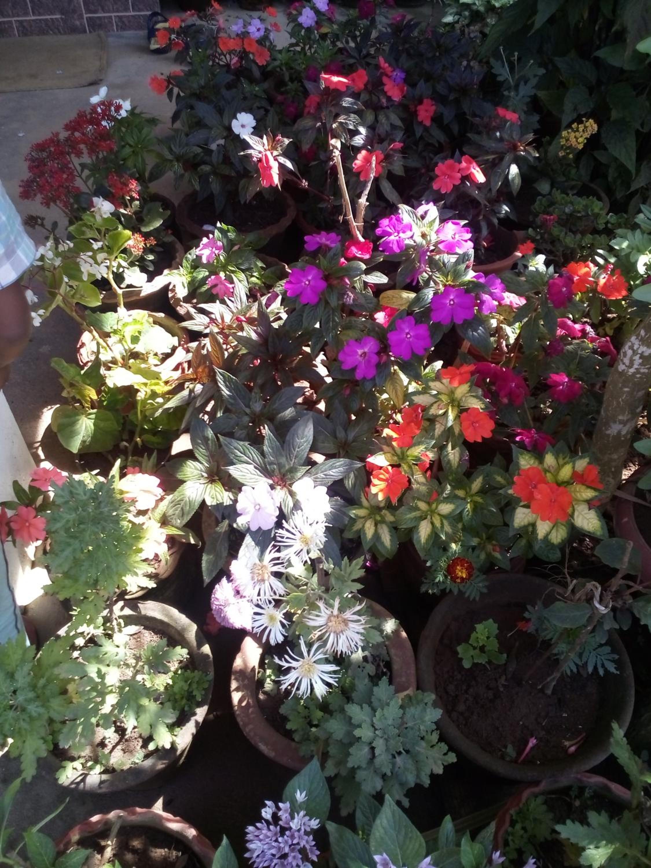 Photo 33