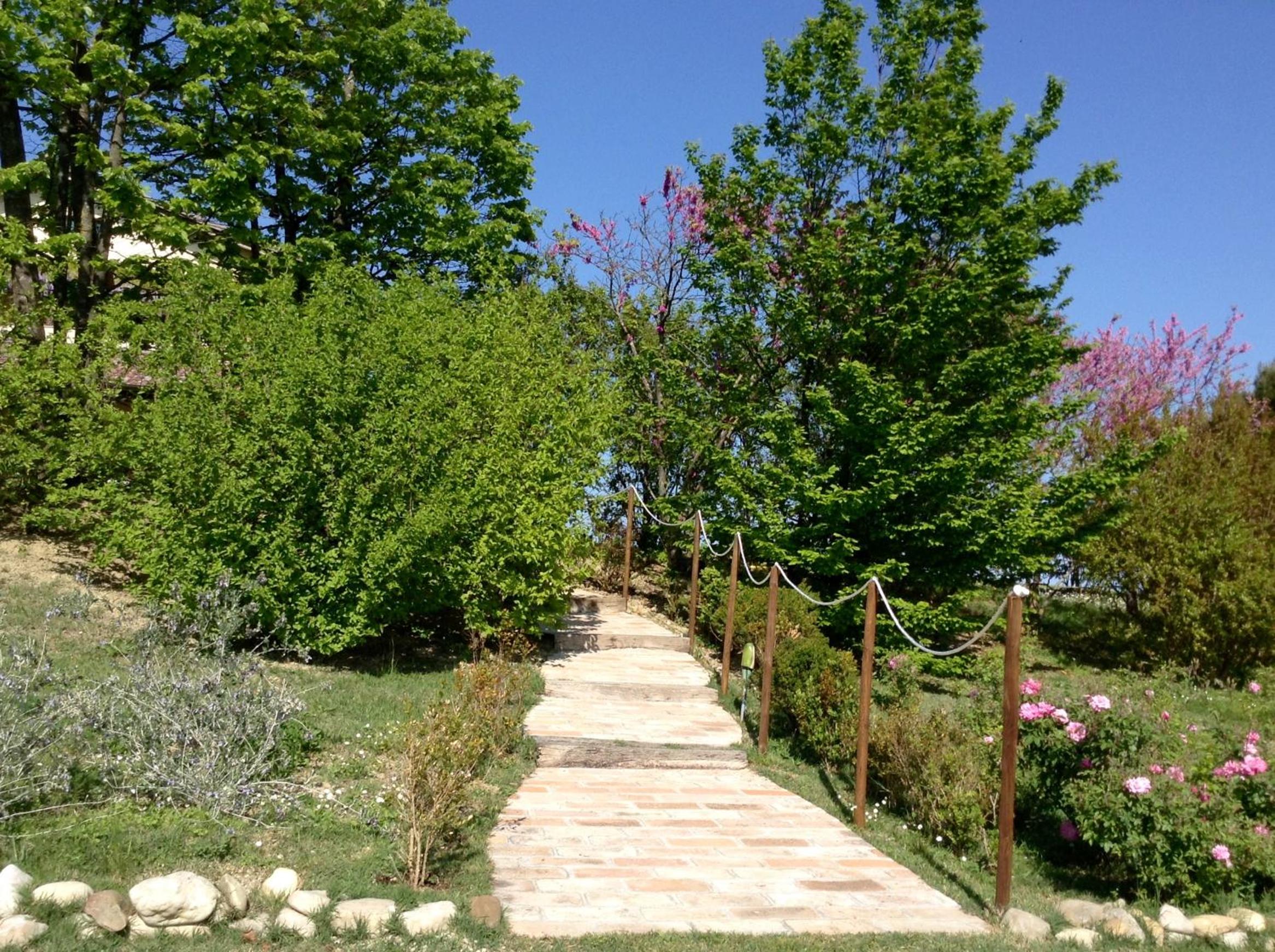 Photo 41
