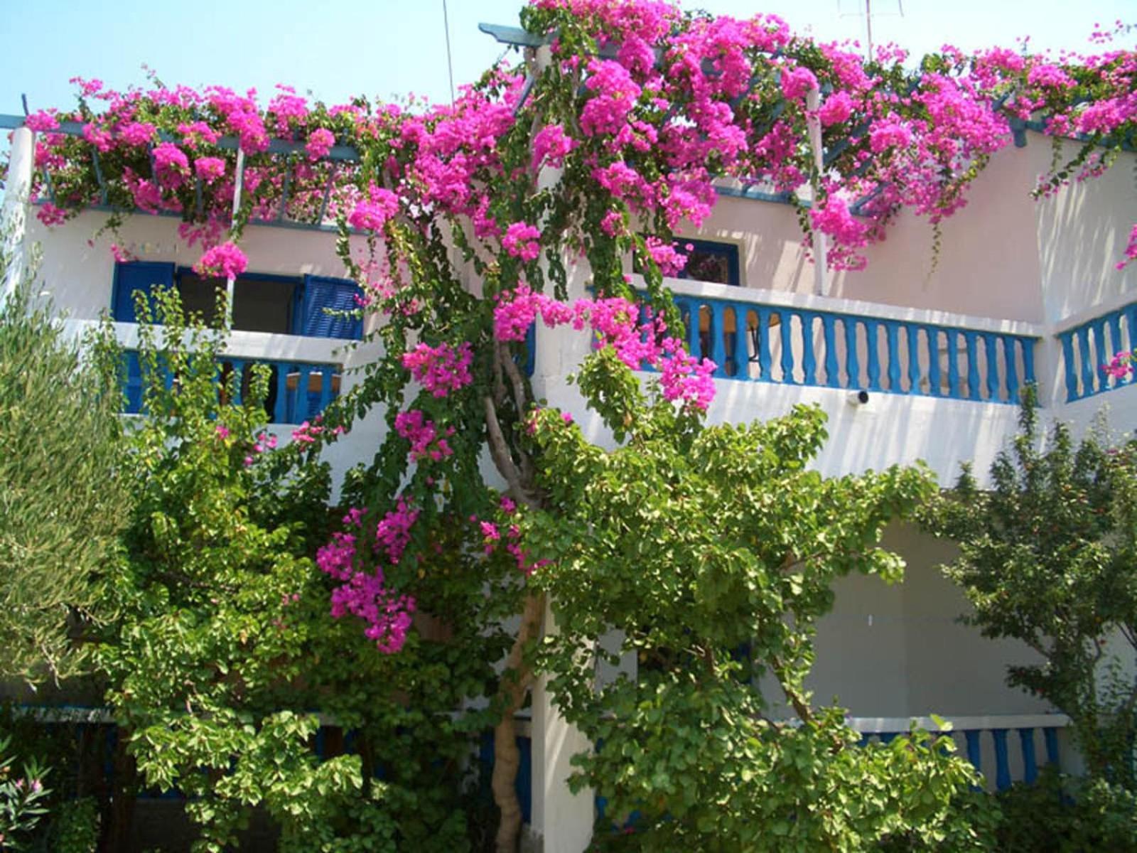 Photo 46