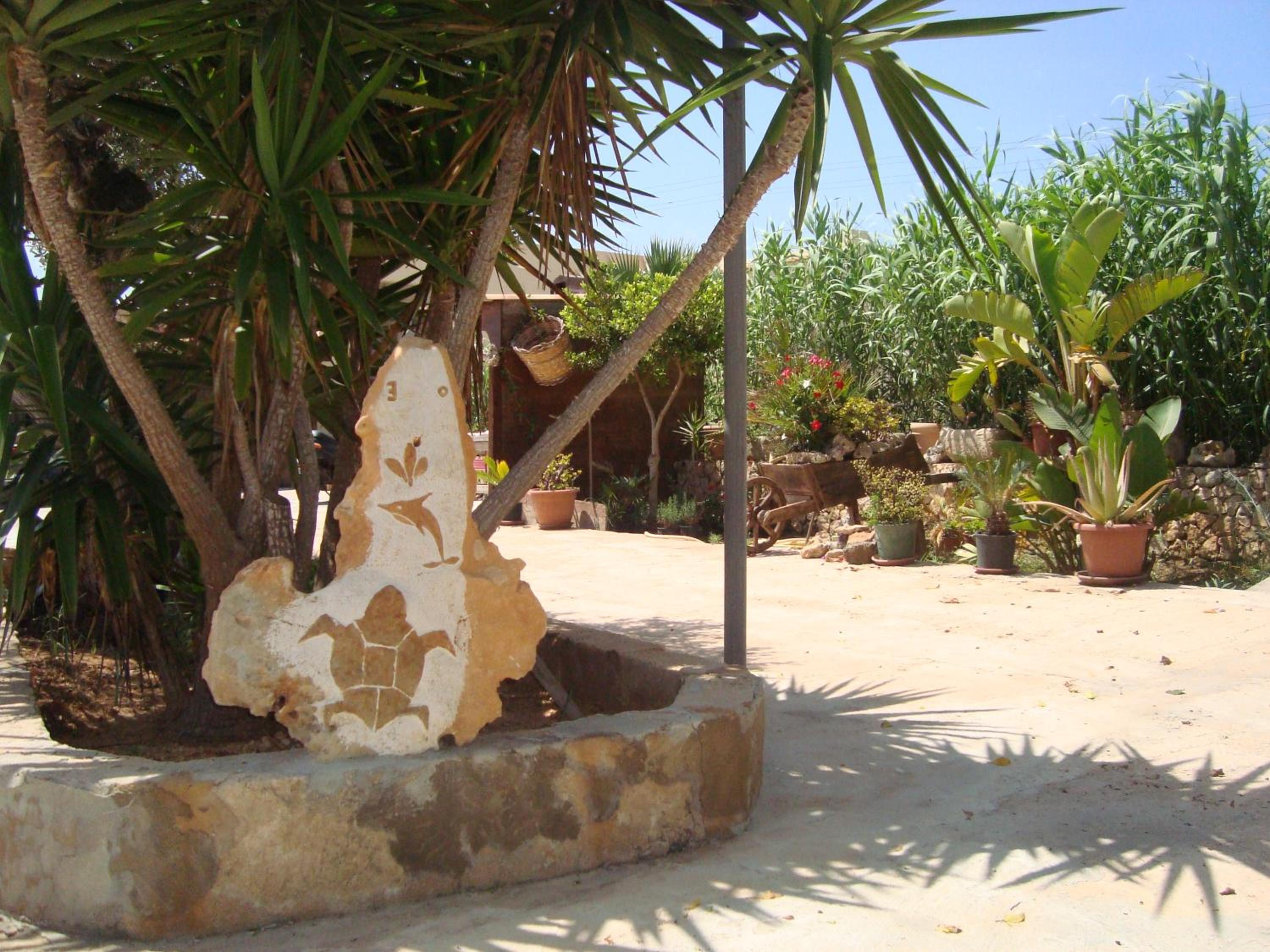 FICO D'INDIA photo 5