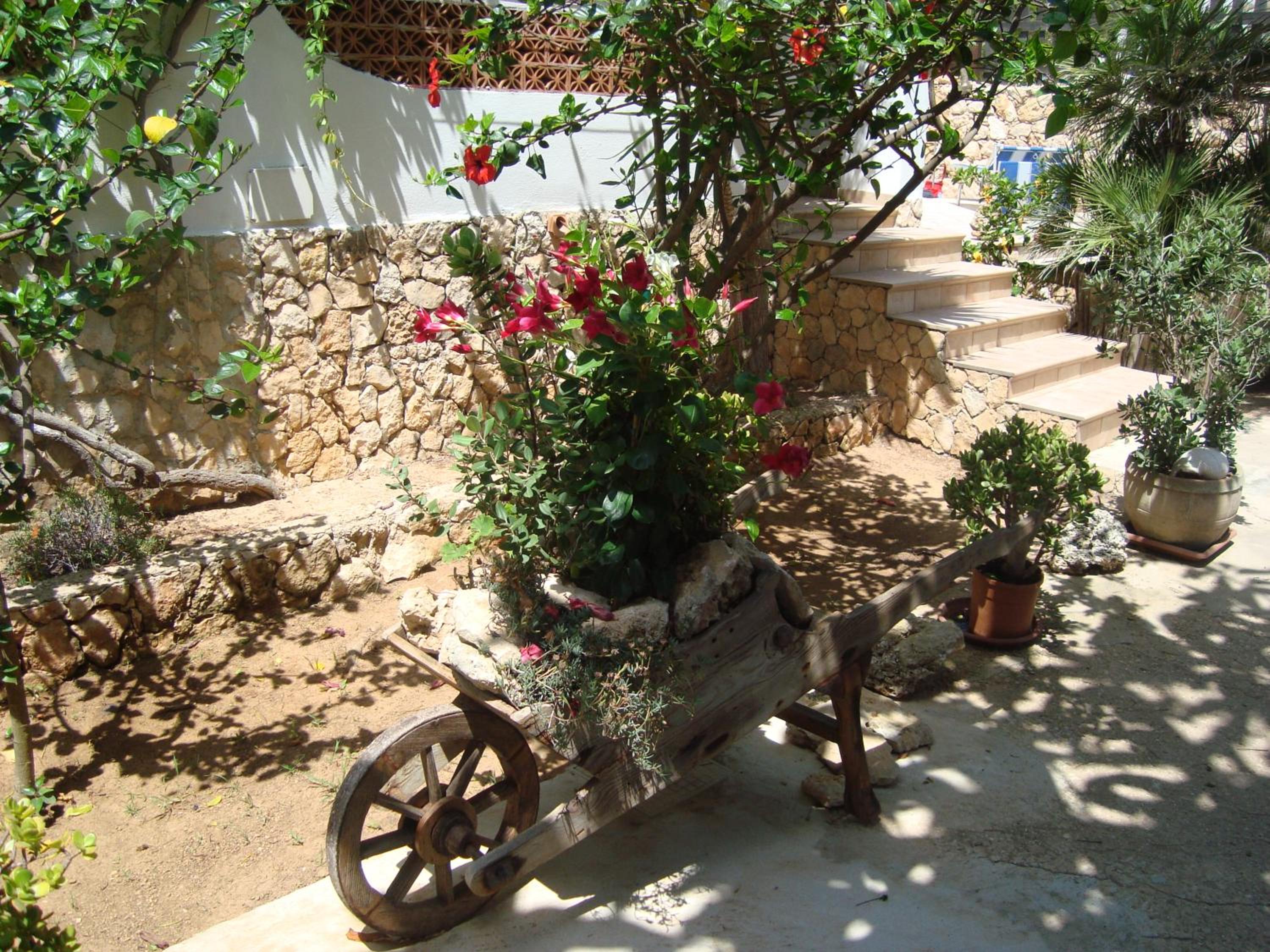 Photo 25