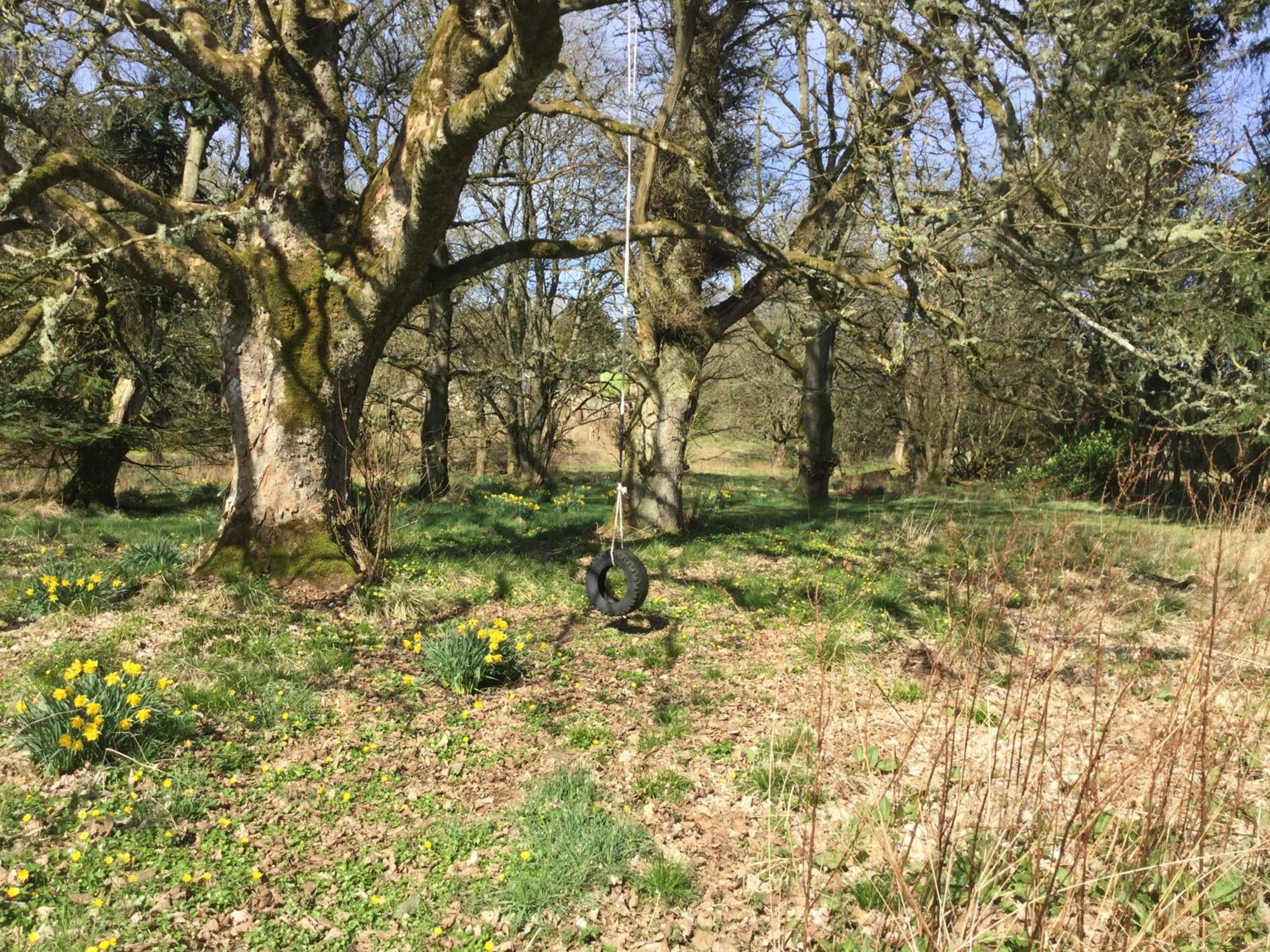 Bamff Ecotourism