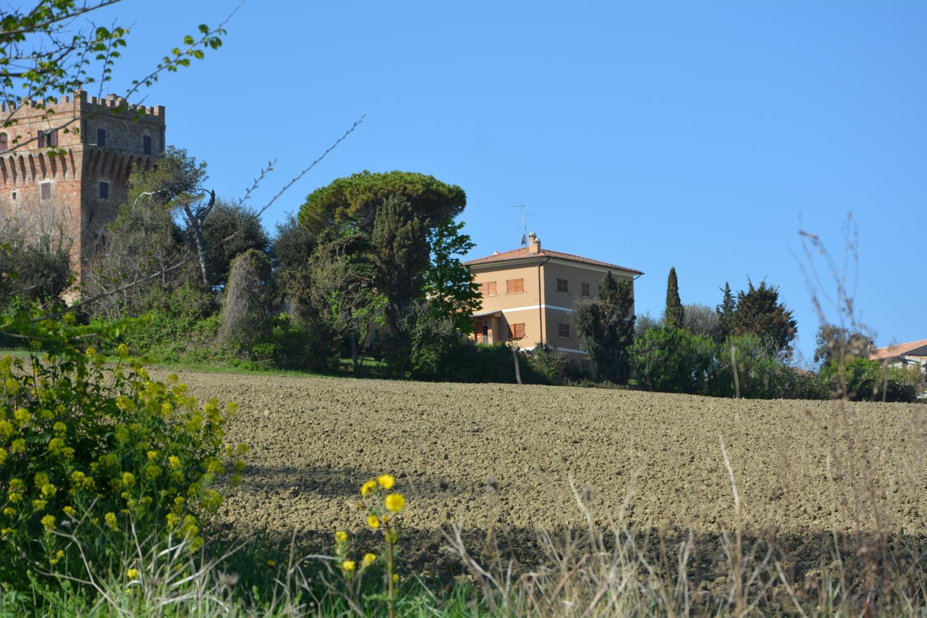 Photo 20