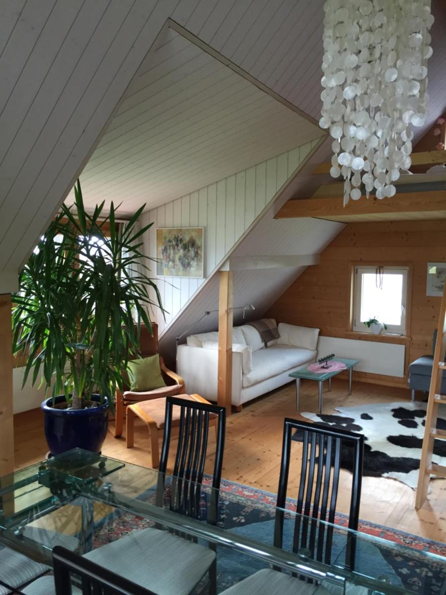 Neuschwendihof view 4