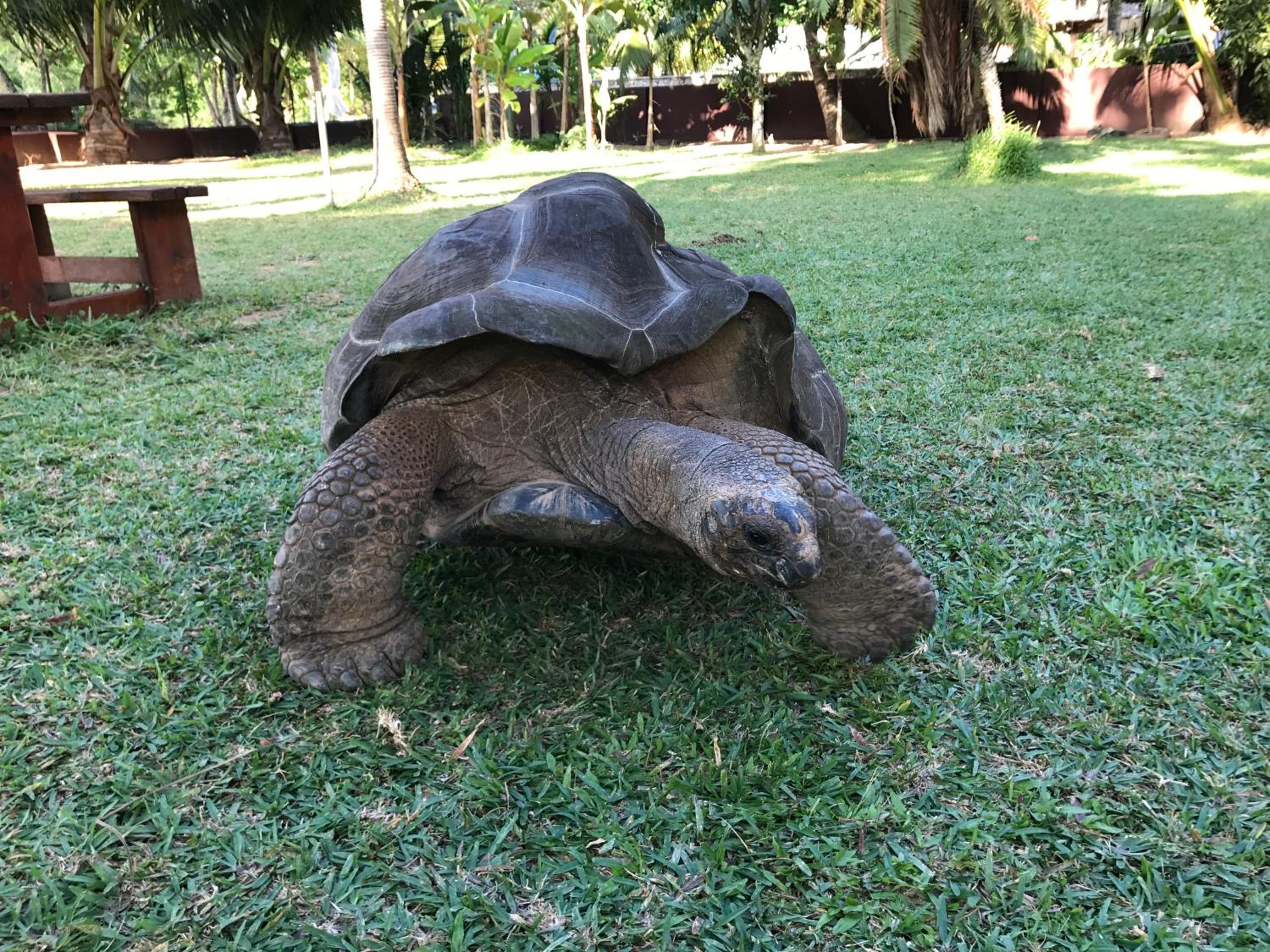 Villa Face Mer photo 4