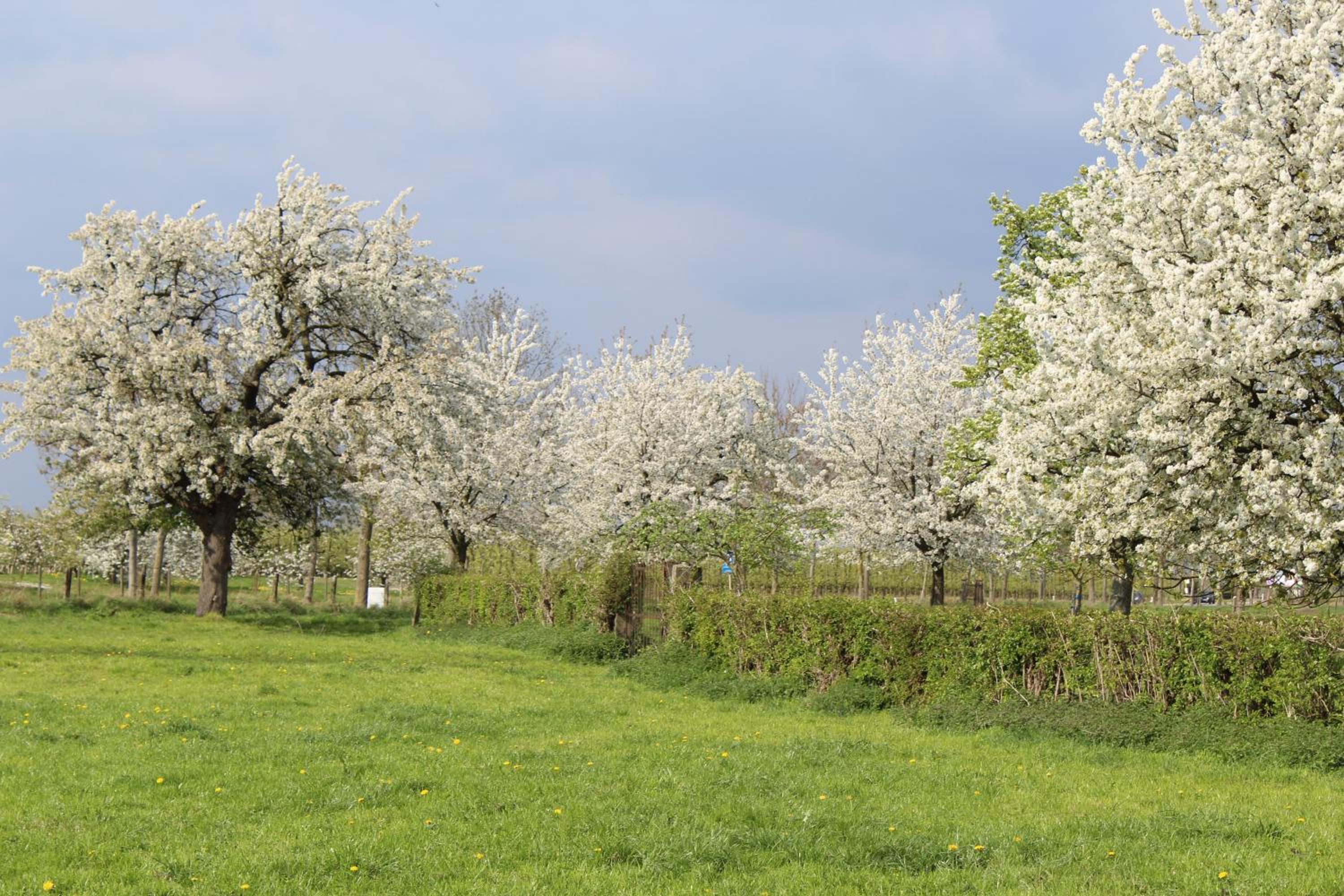 B&B De Vroling