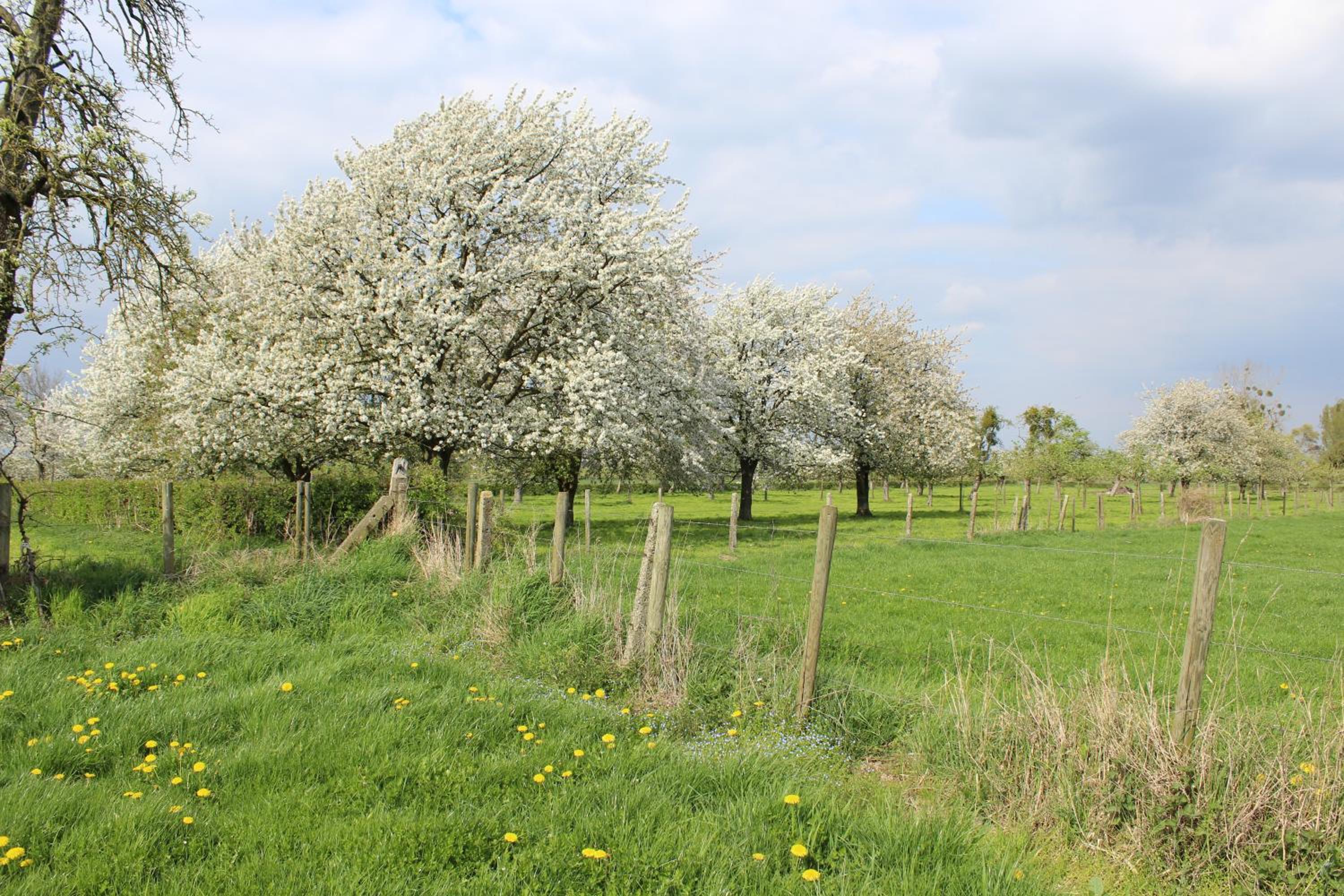 B&B De Vroling