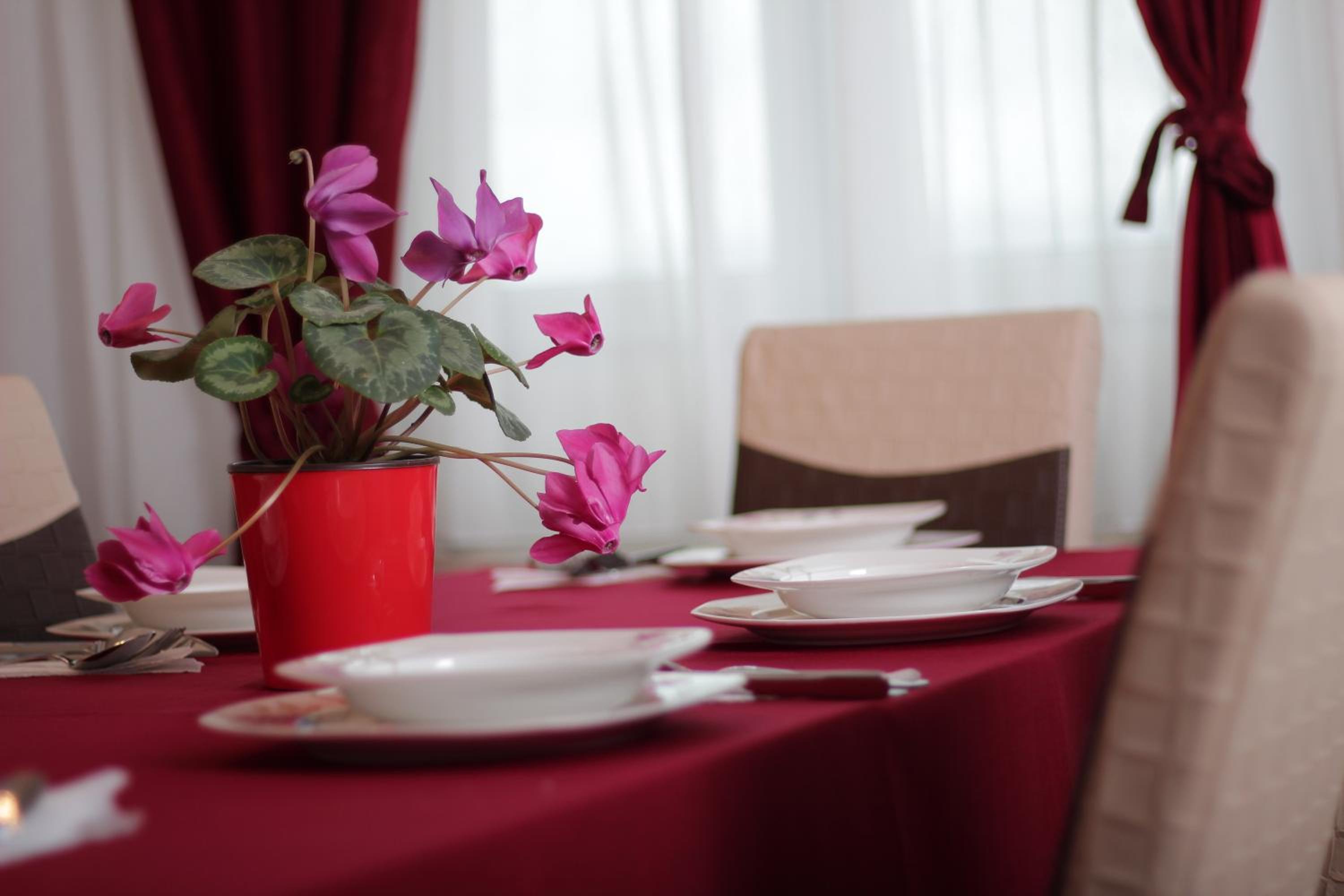 Rumi Apartments