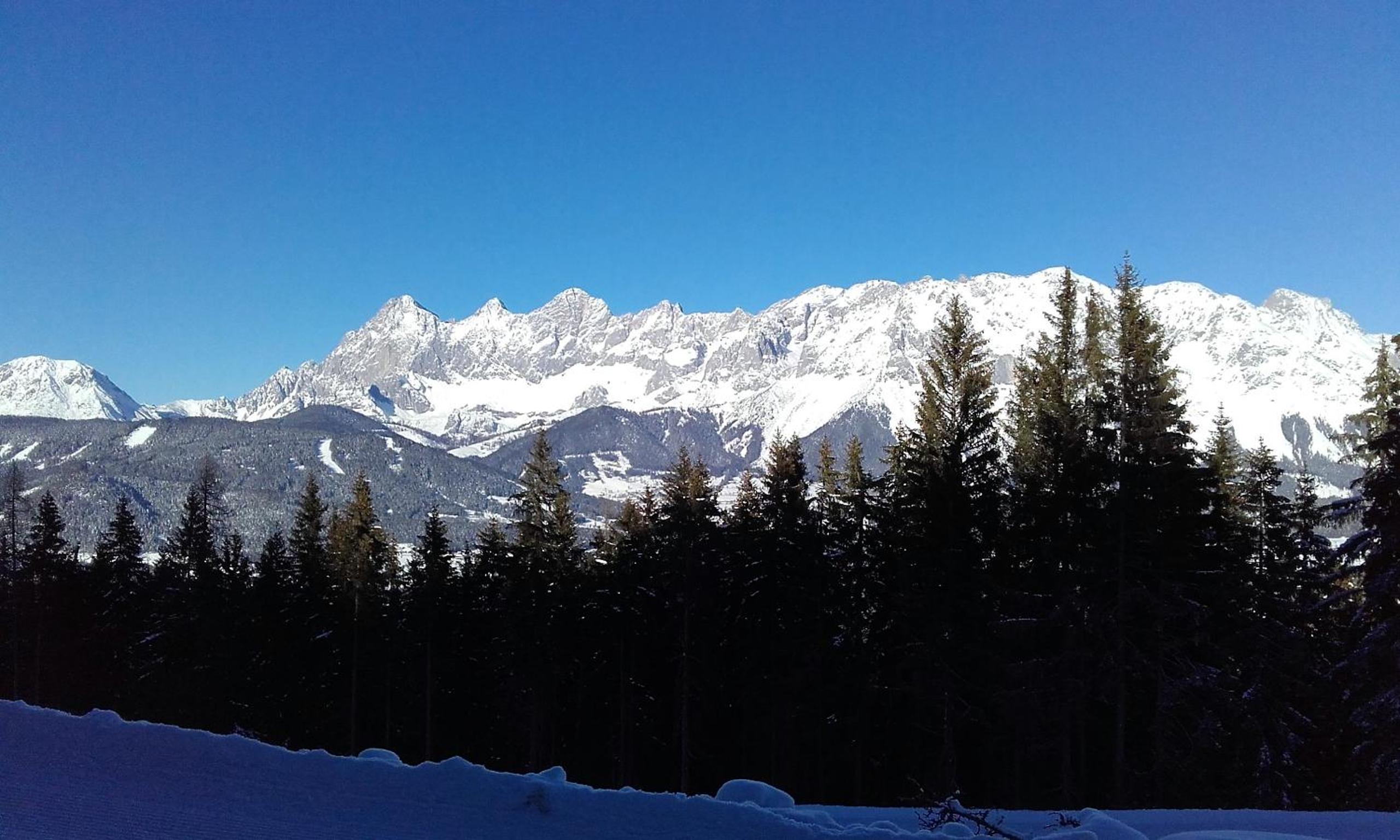 Alpenblick