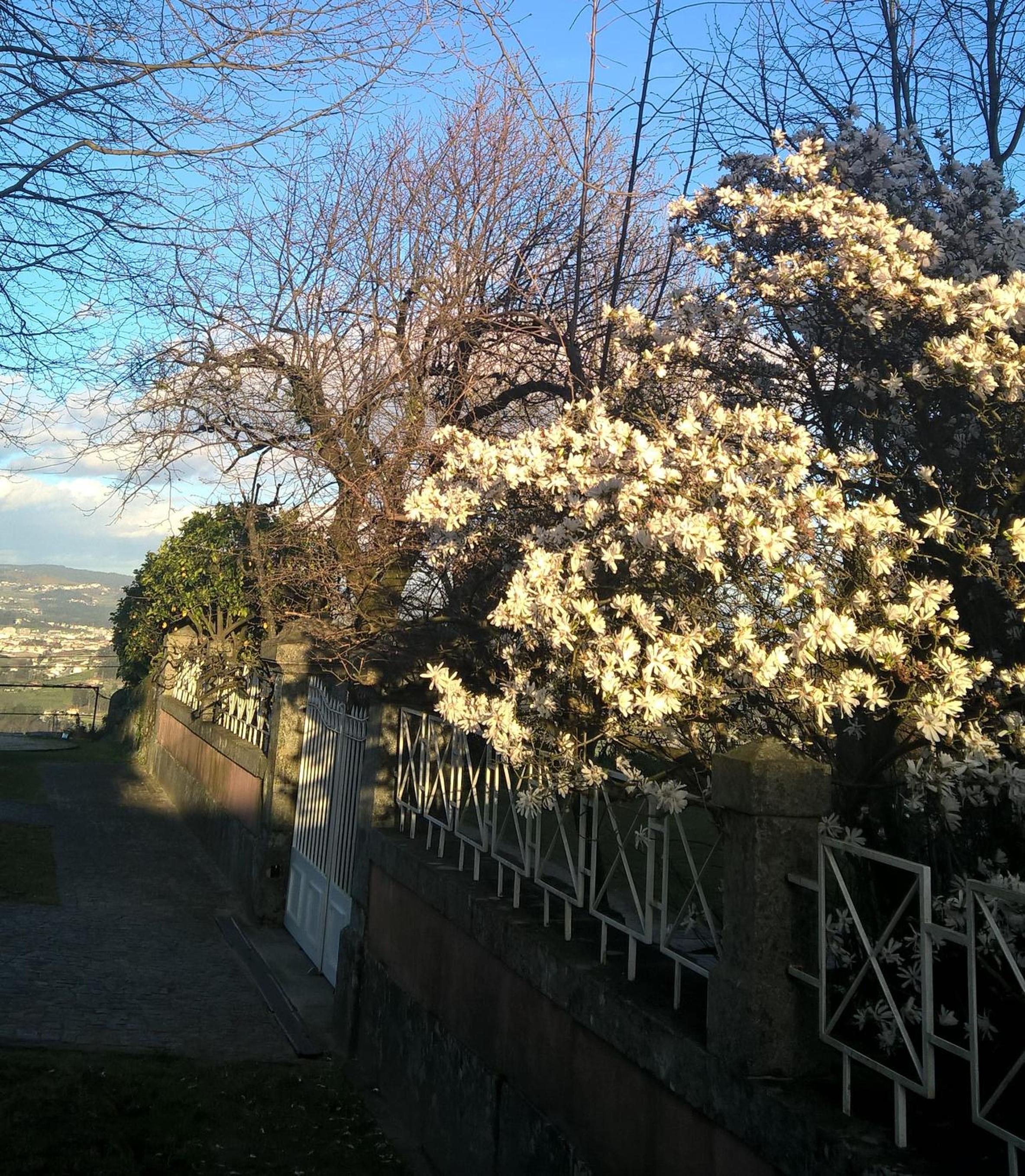 Photo 45